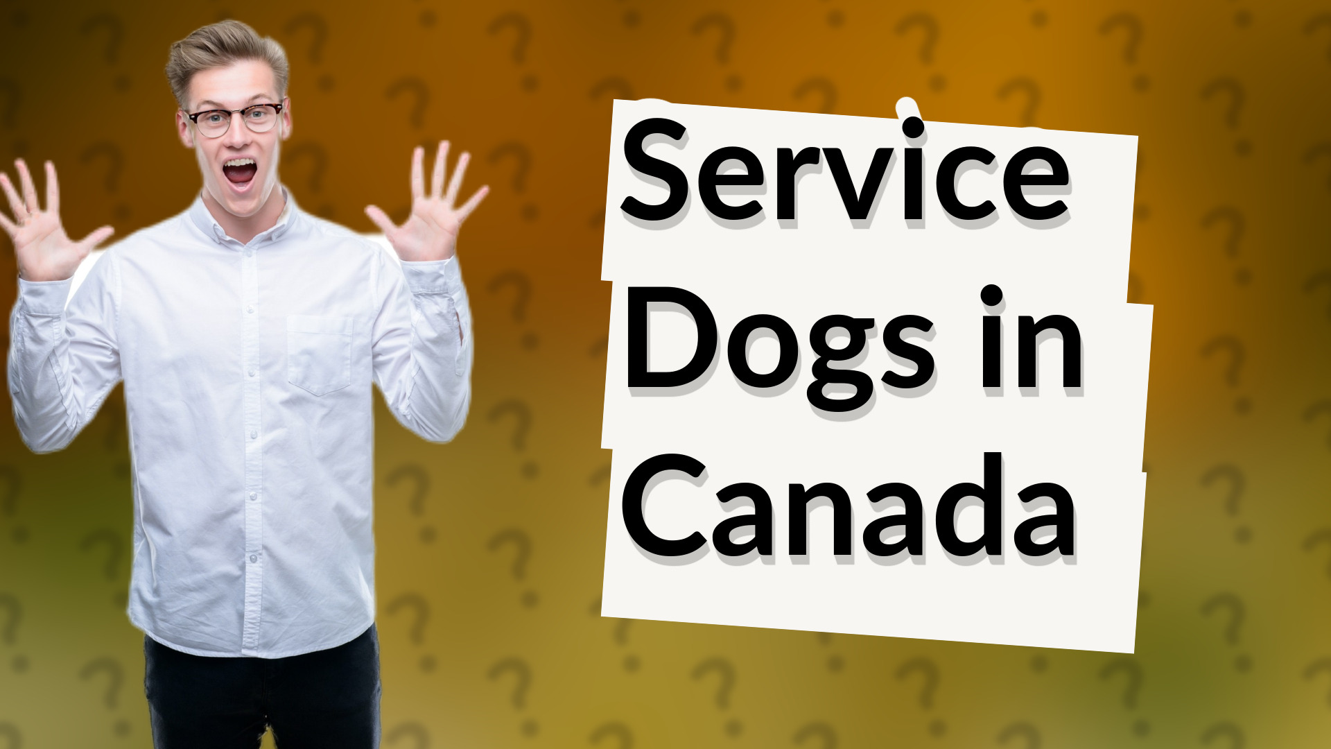 Service Dogs in Canada