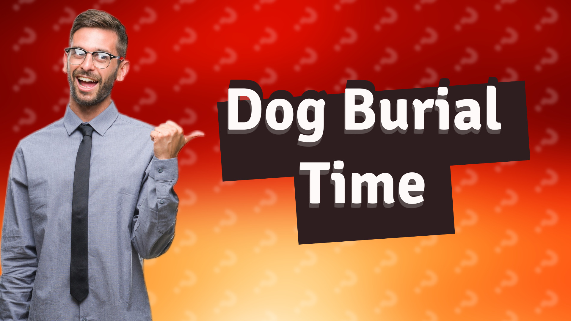 Dog Burial Time