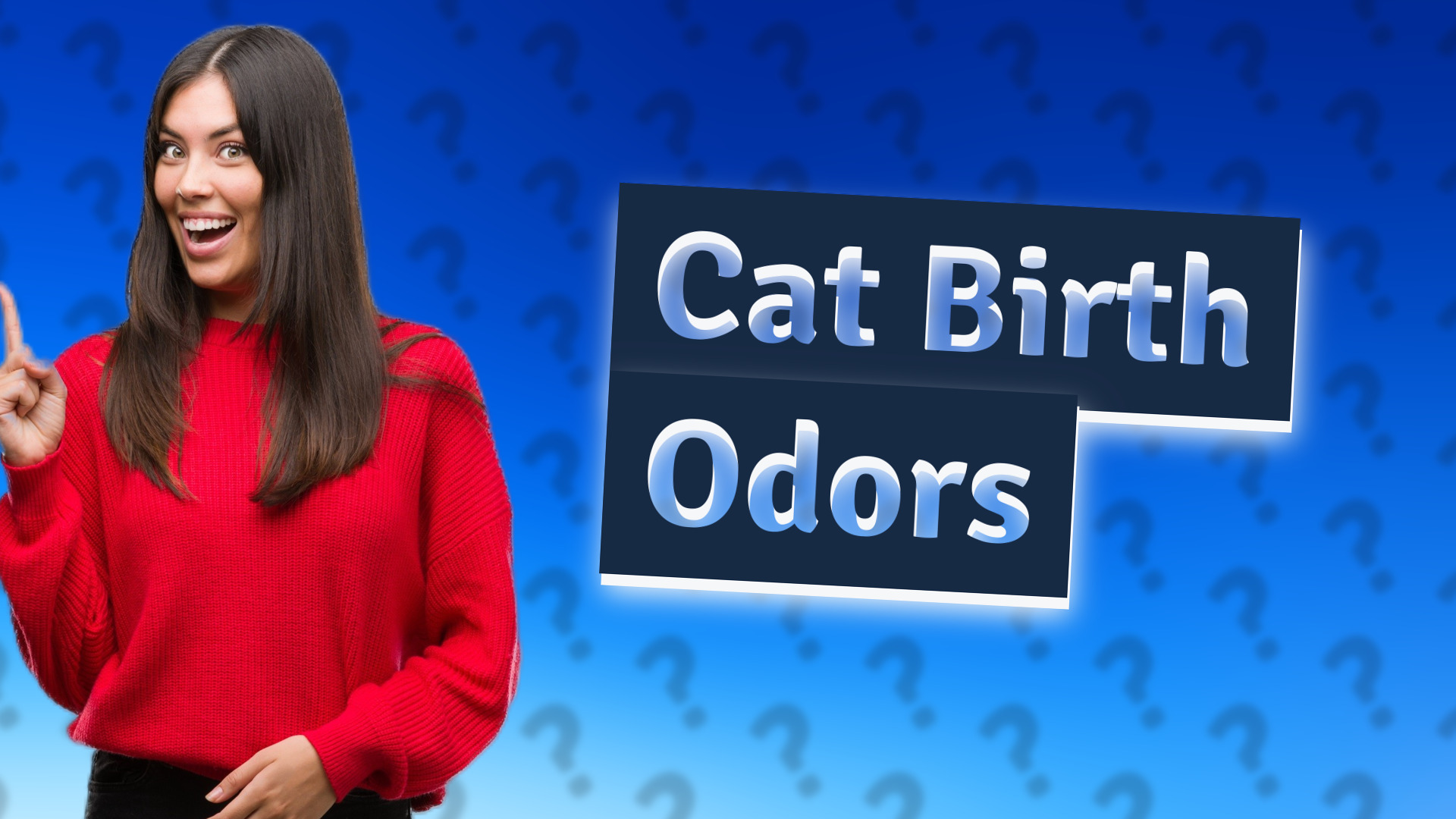 Cat Birth Odors