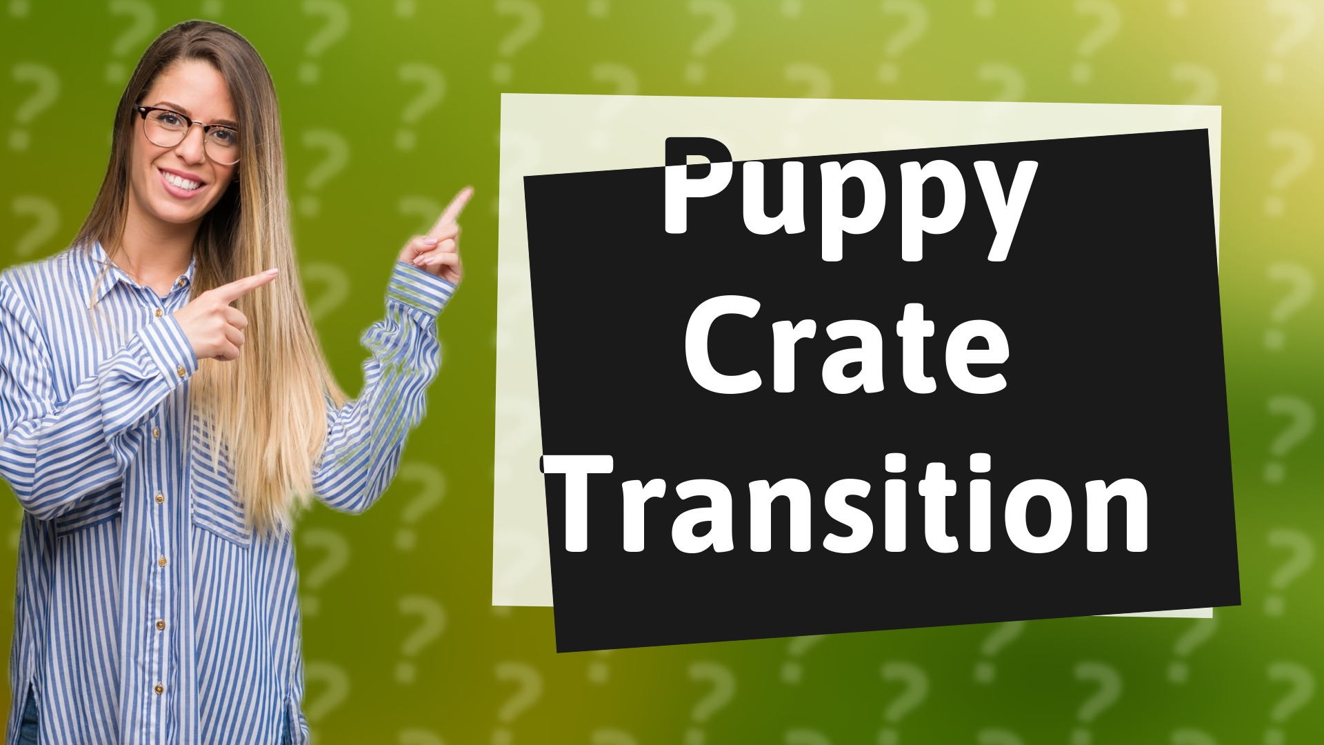 Puppy Crate Transition