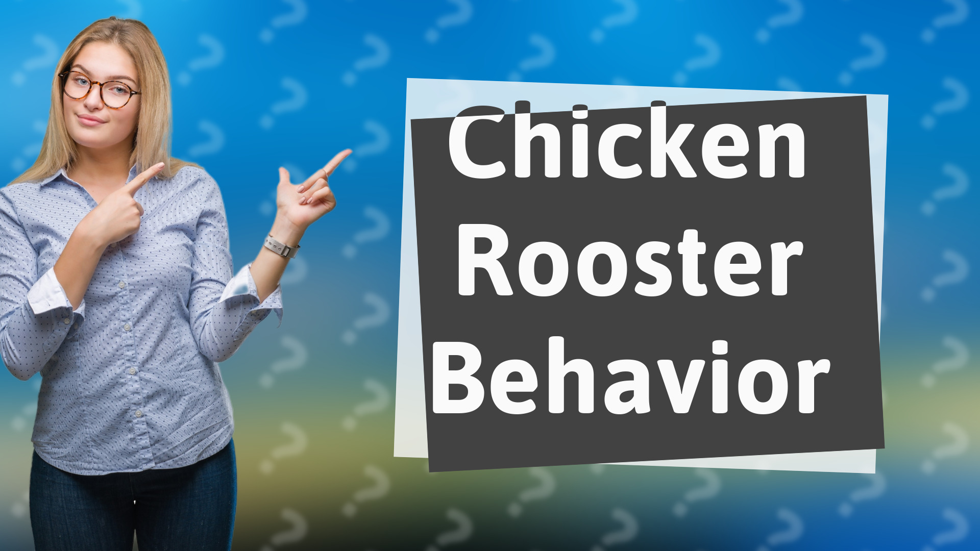 Chicken Rooster Behavior
