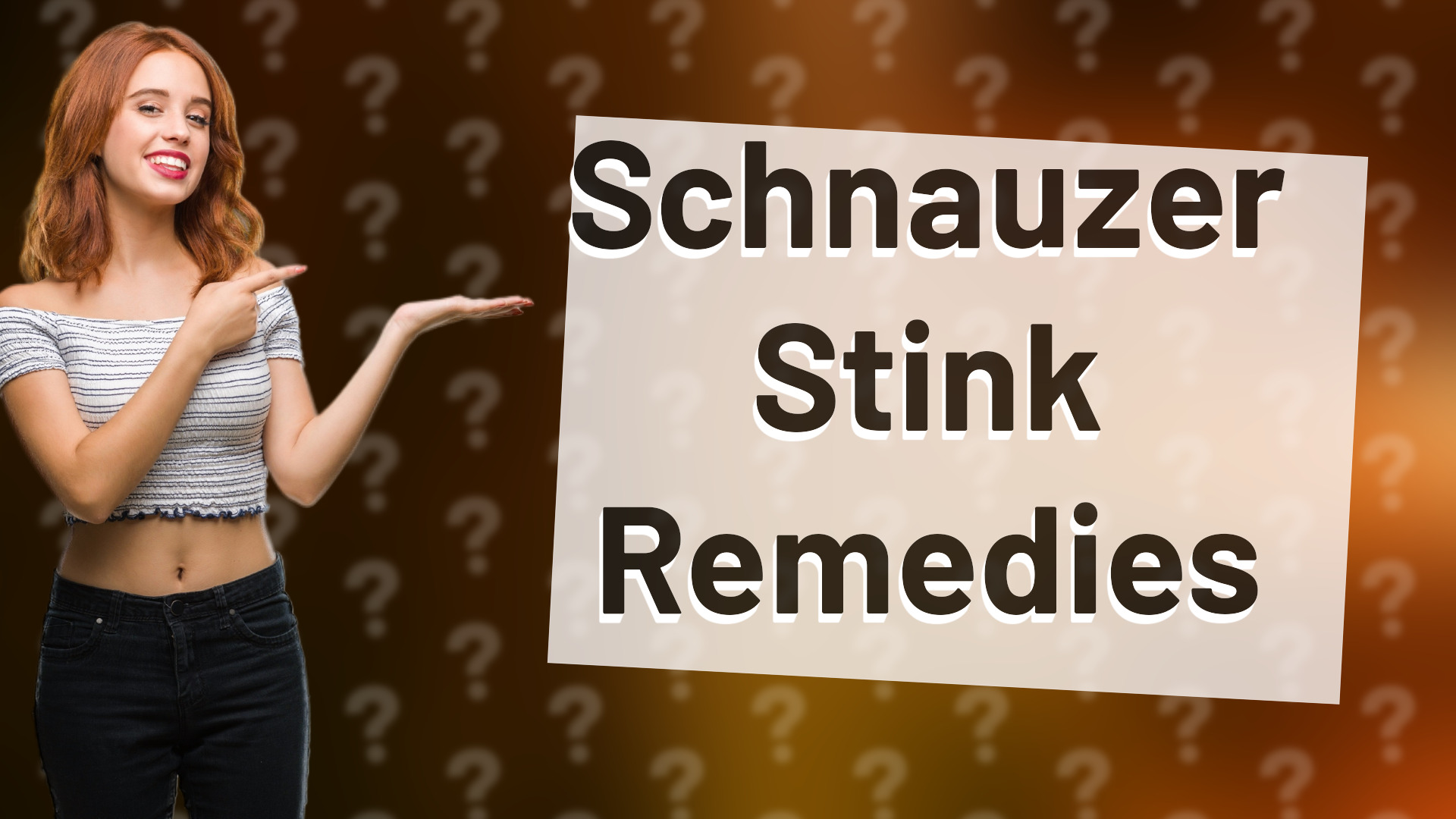 Schnauzer Stink Remedies