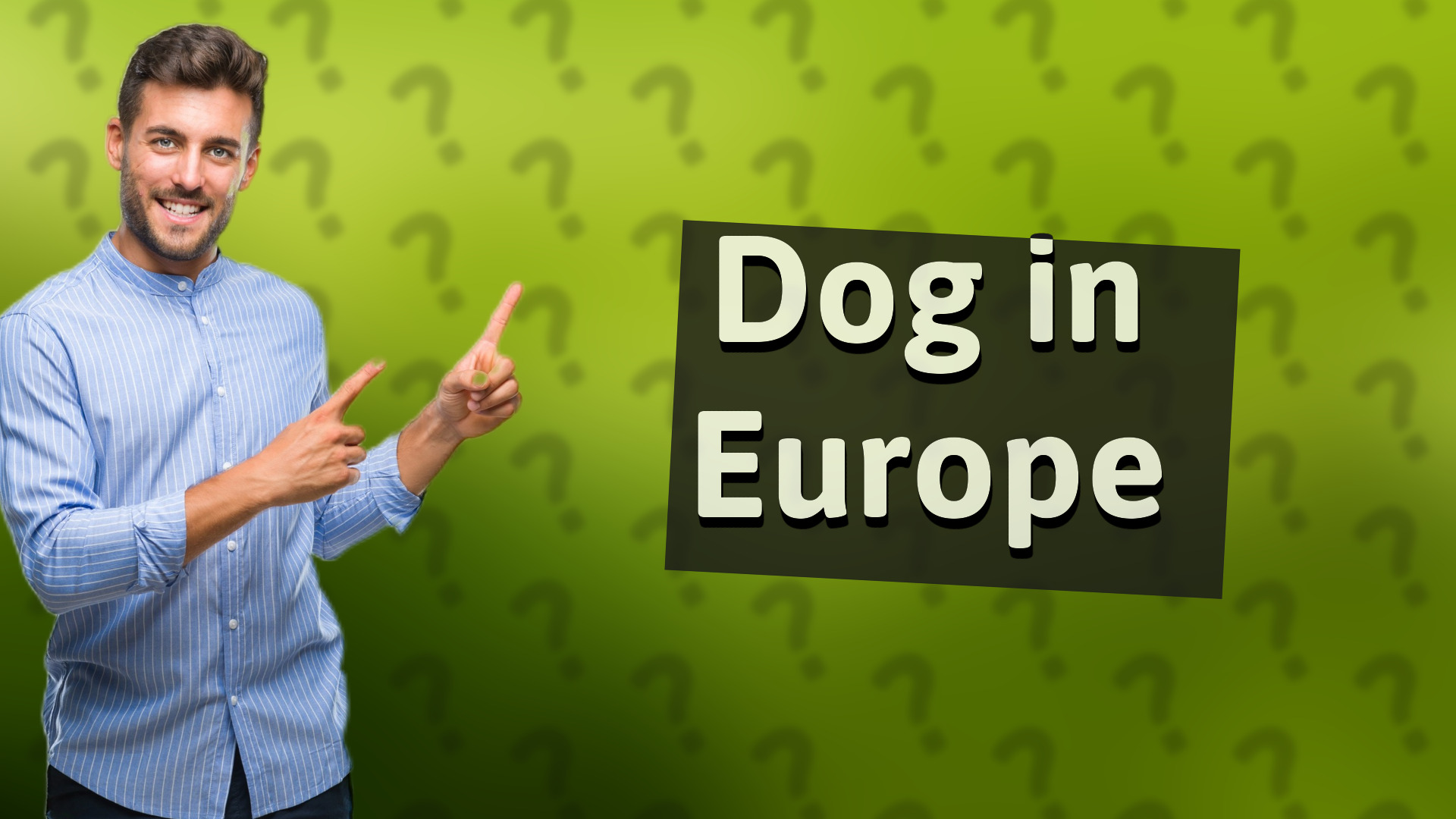 Dog in Europe