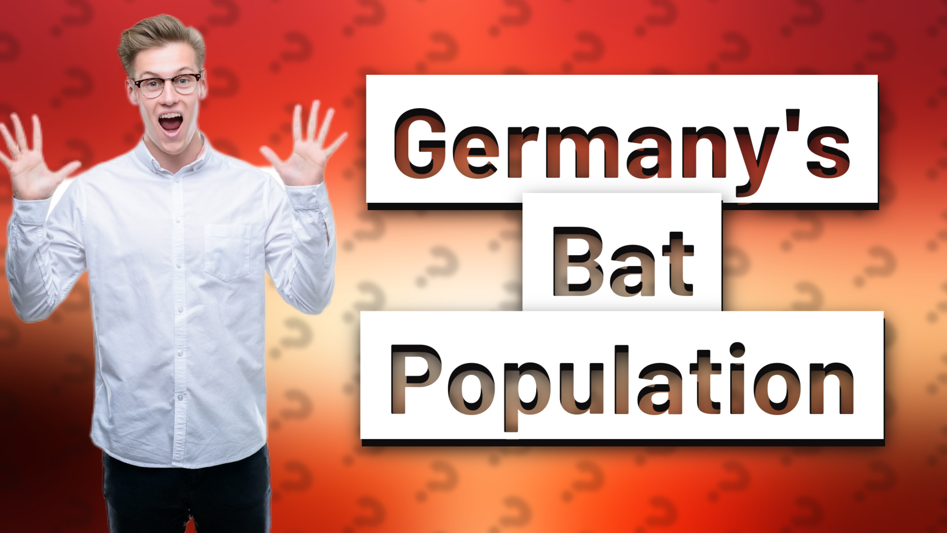 Germany's Bat Population