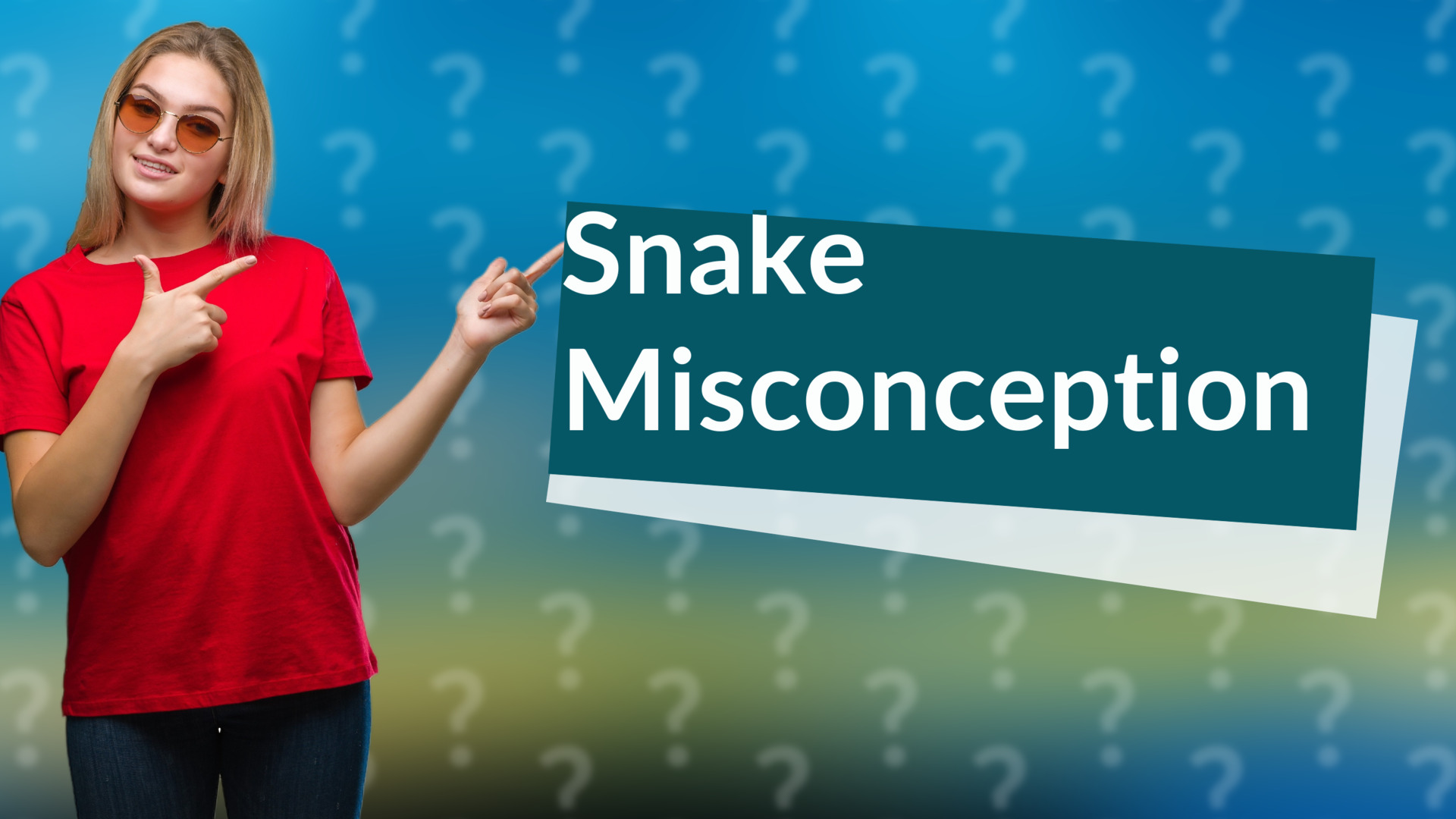 Snake Misconception