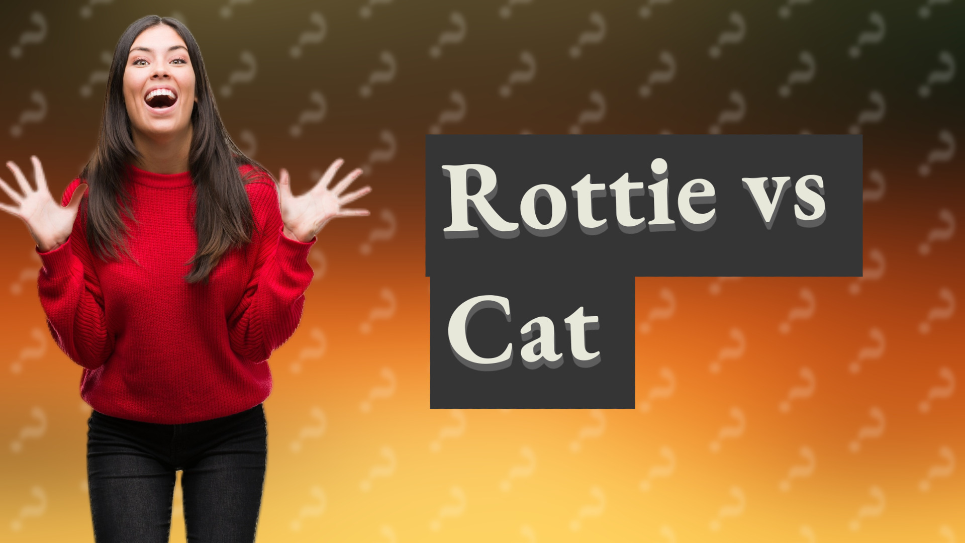Rottie vs Cat