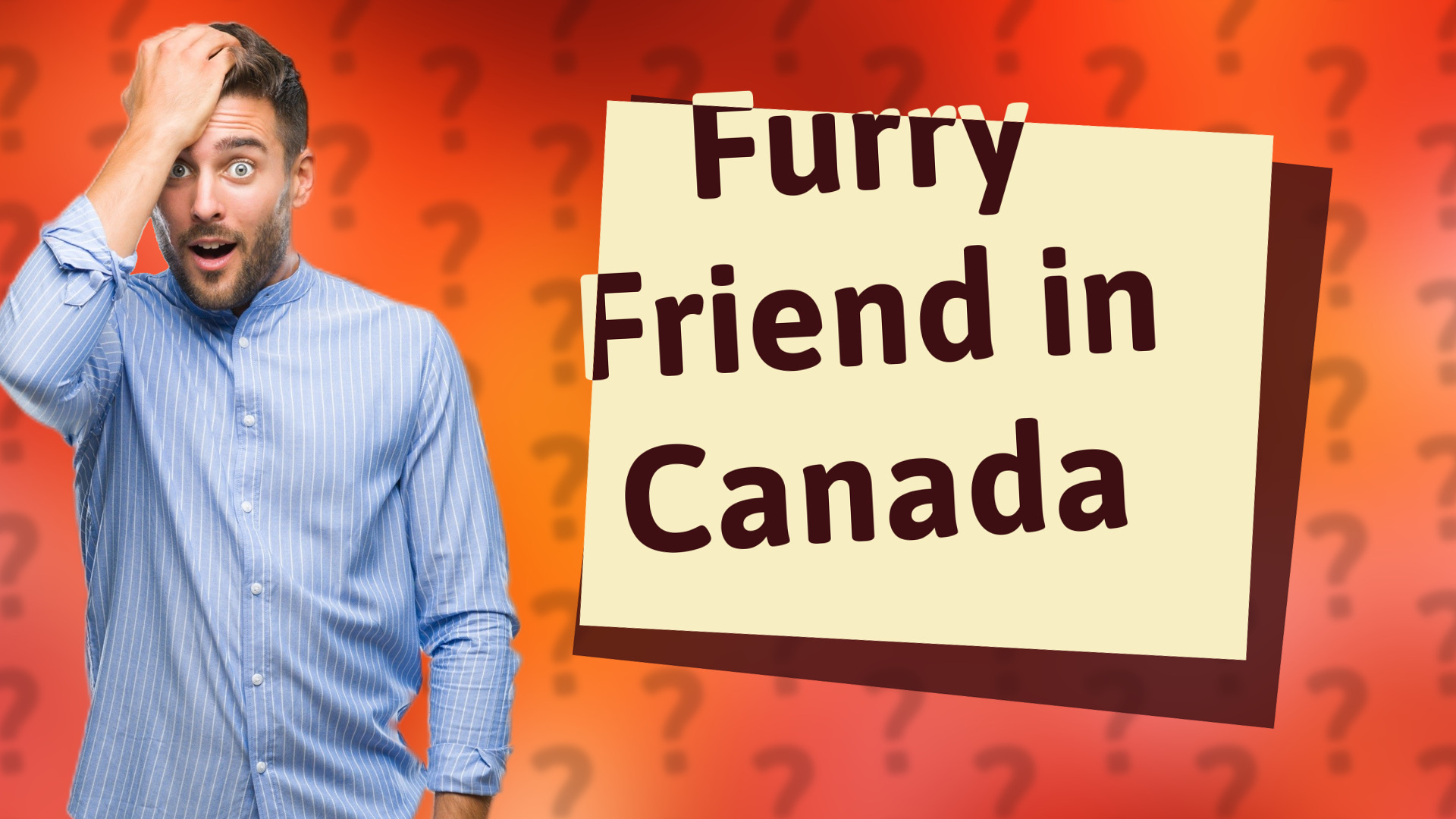 Furry Friend in Canada