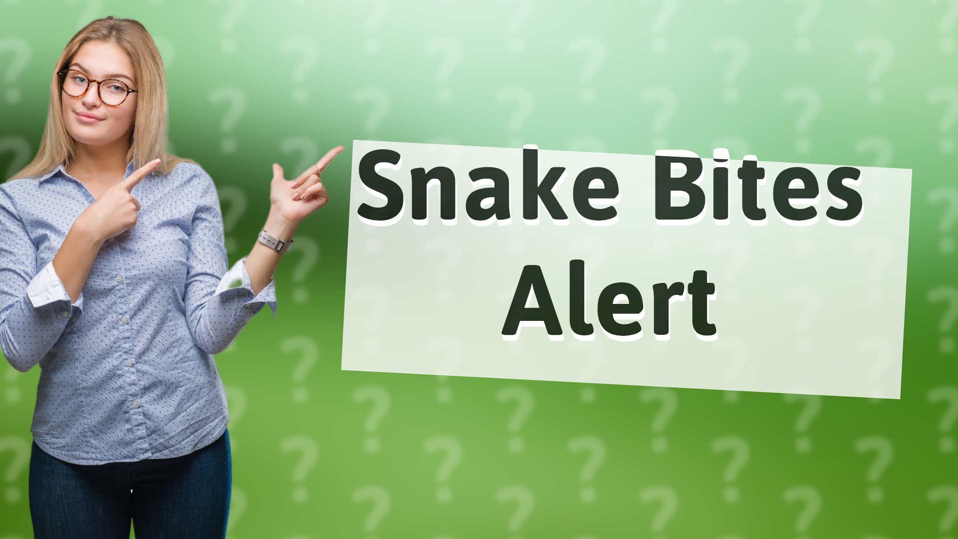 Snake Bites Alert