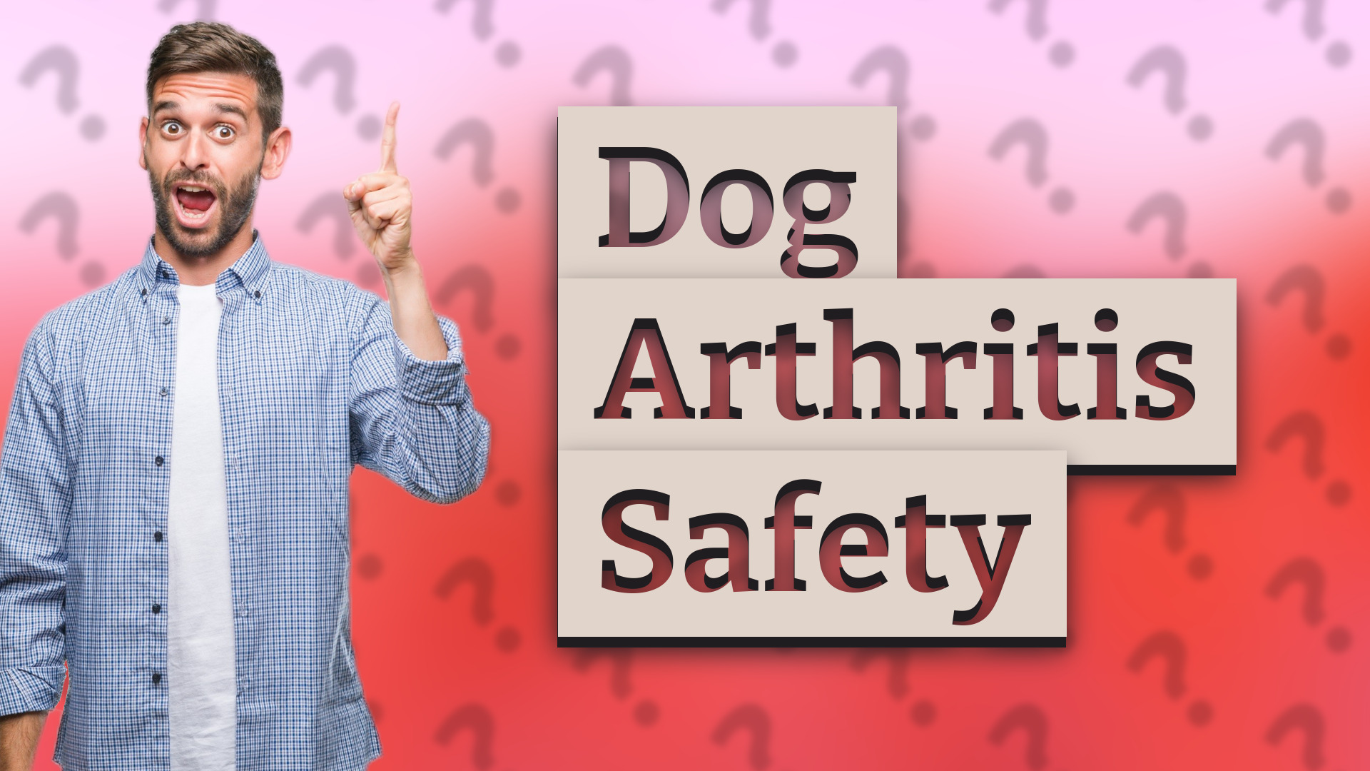 Dog Arthritis Safety