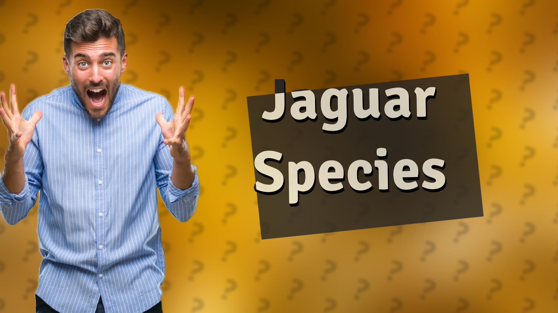 Jaguar Species