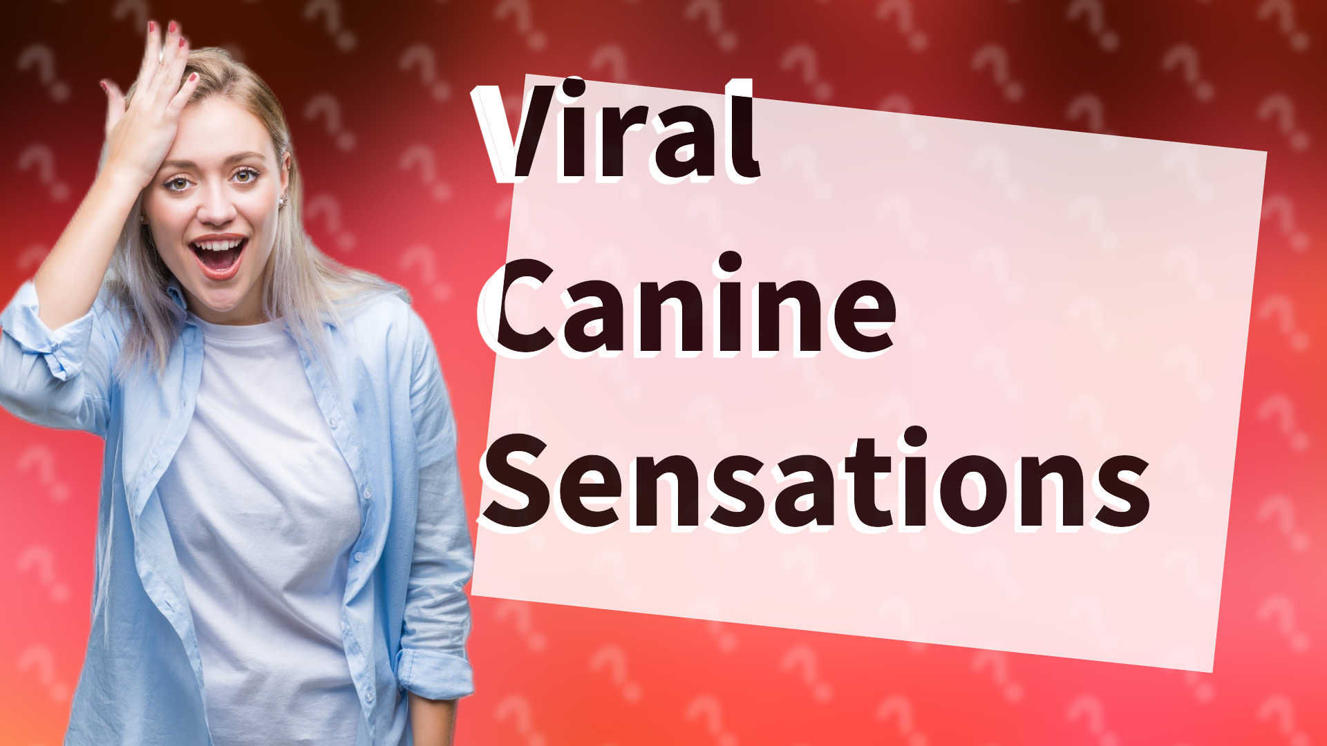 Viral Canine Sensations