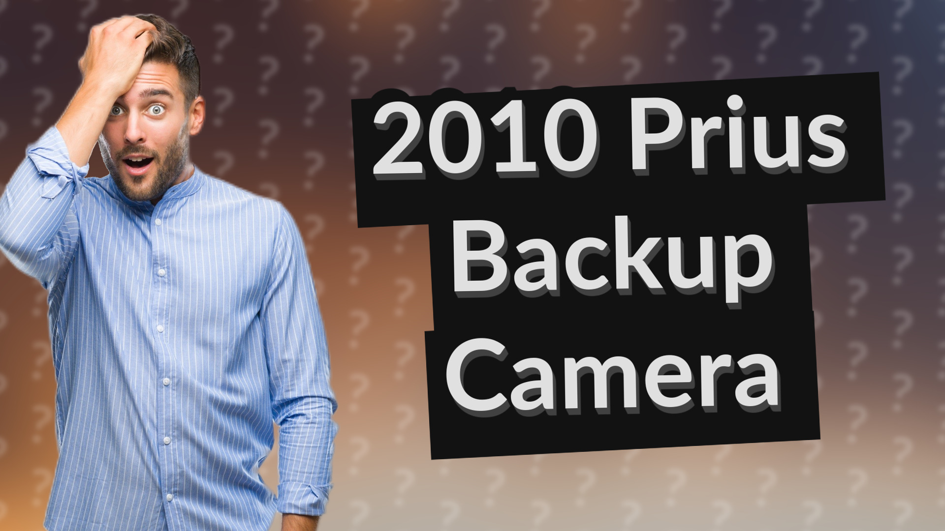 2010 Prius Backup Camera