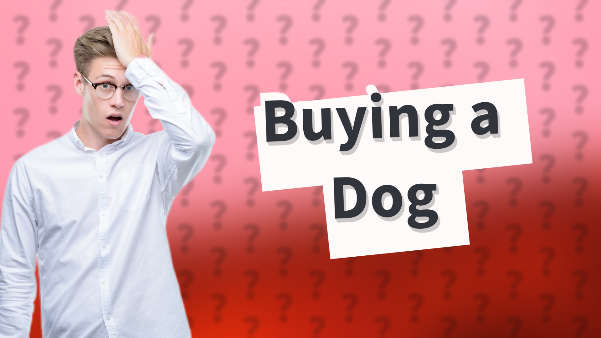 Buying a Dog