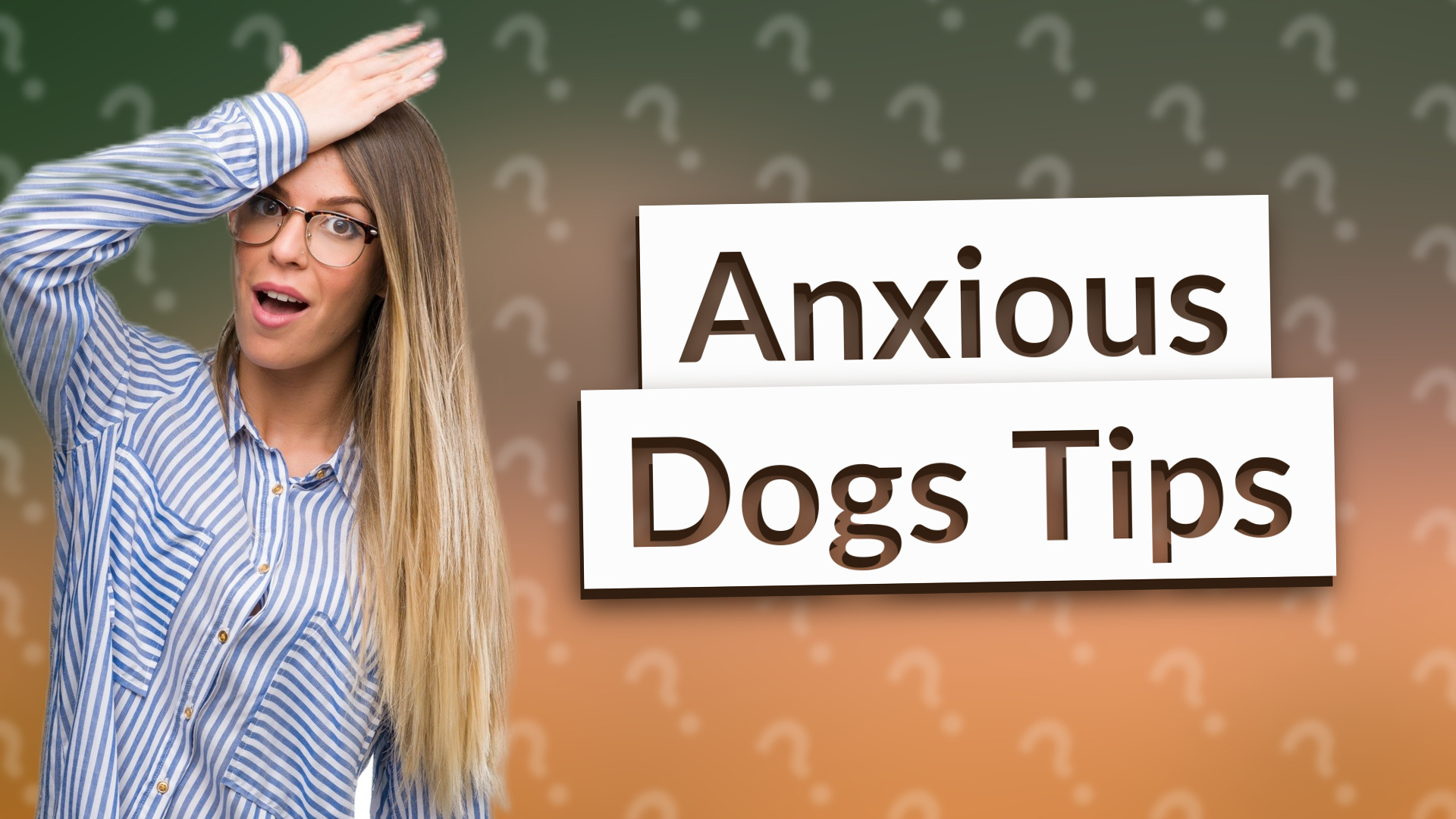 Anxious Dogs Tips