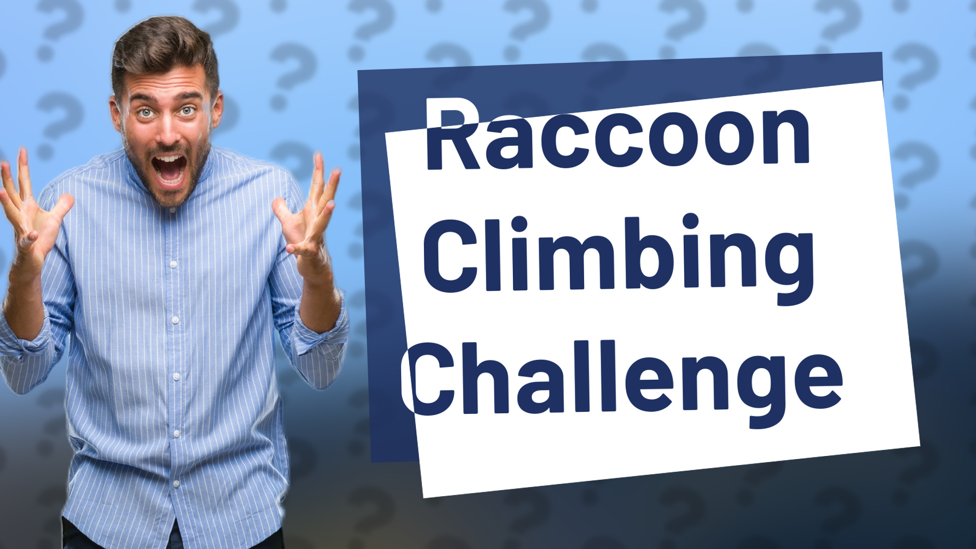 Raccoon Climbing Challenge