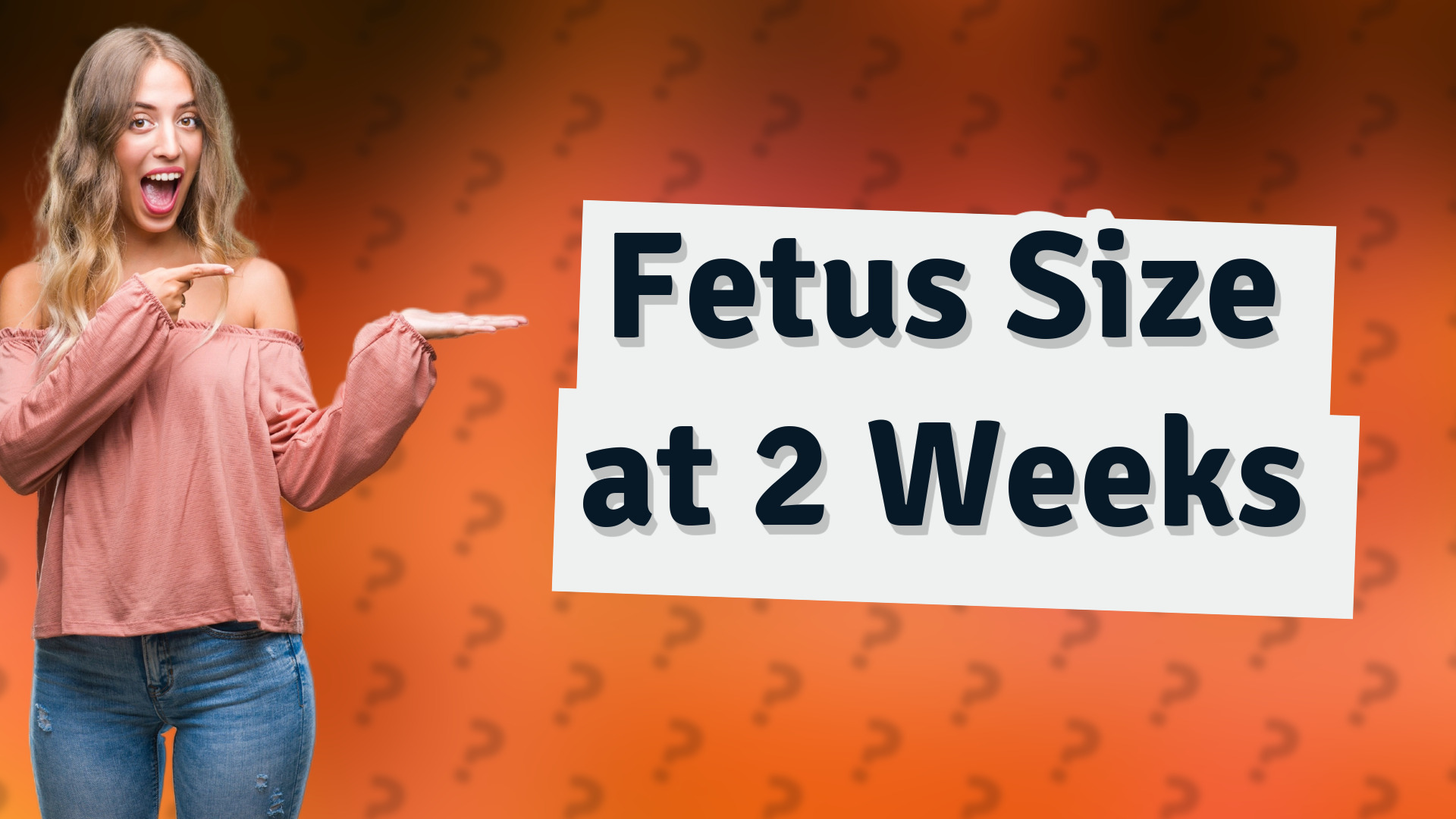 Fetus Size at 2 Weeks