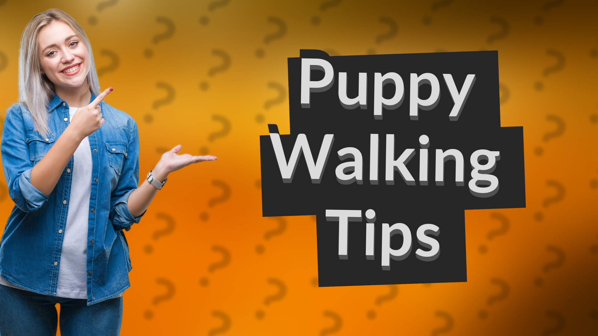 Puppy Walking Tips
