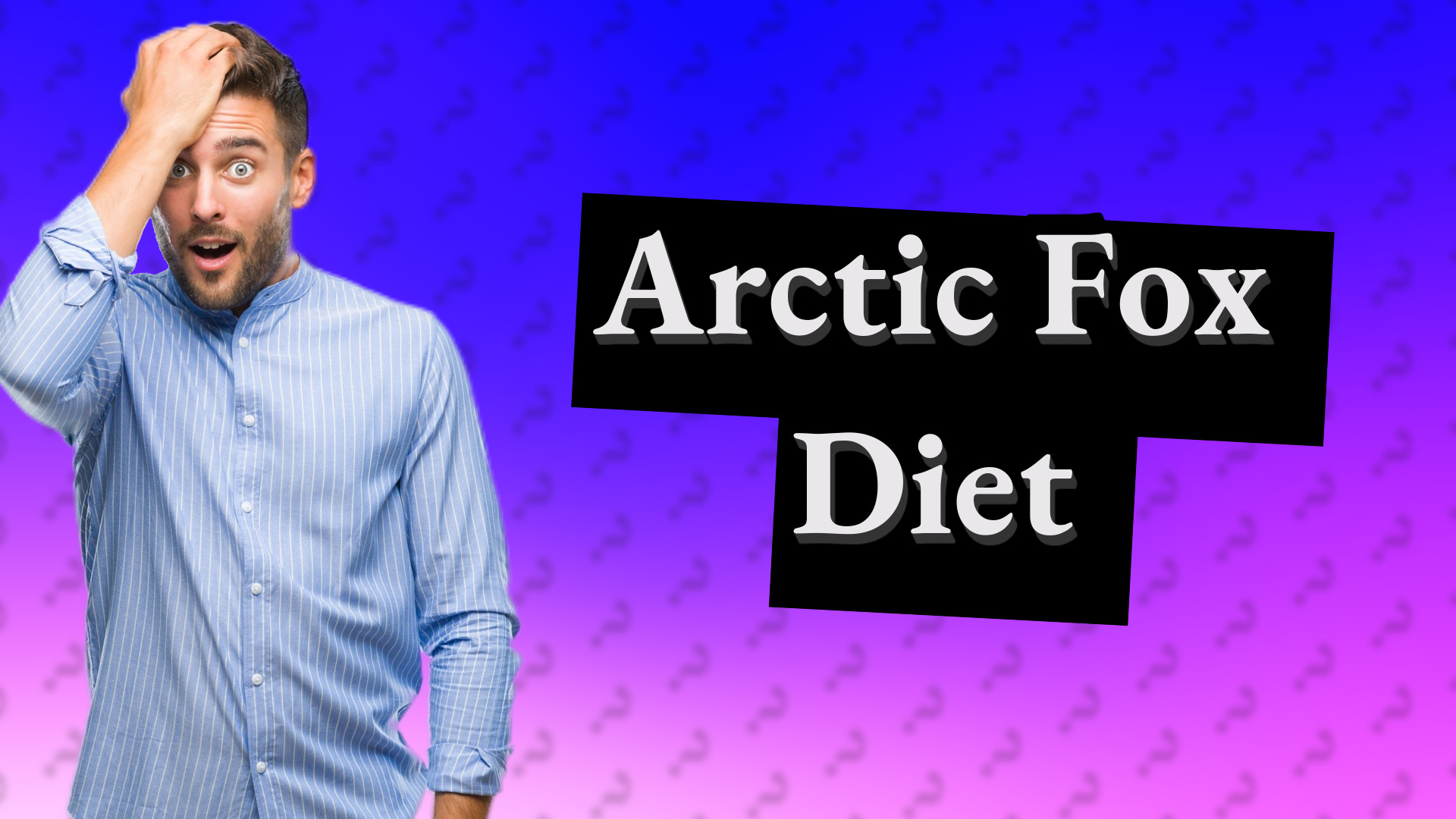 Arctic Fox Diet