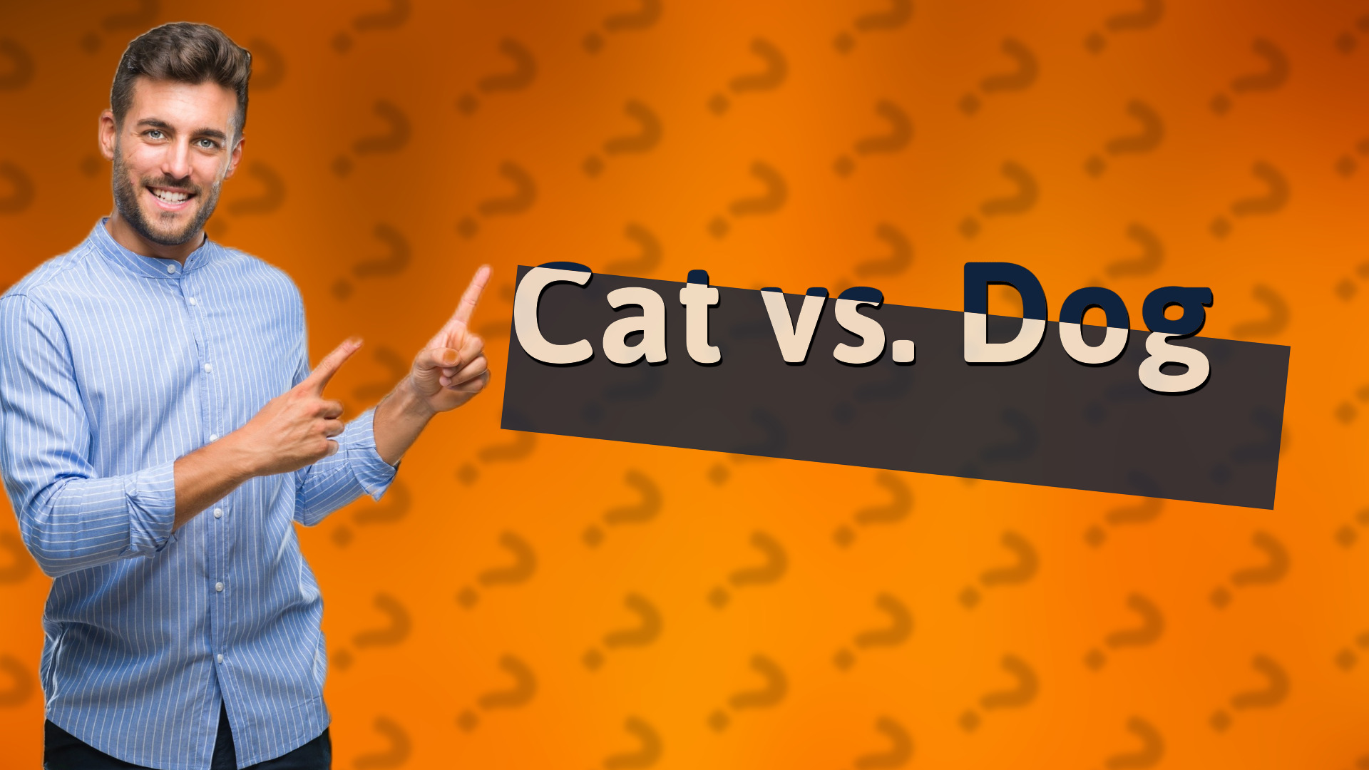 Cat vs. Dog