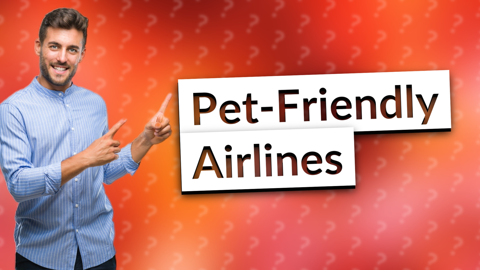 Pet-Friendly Airlines
