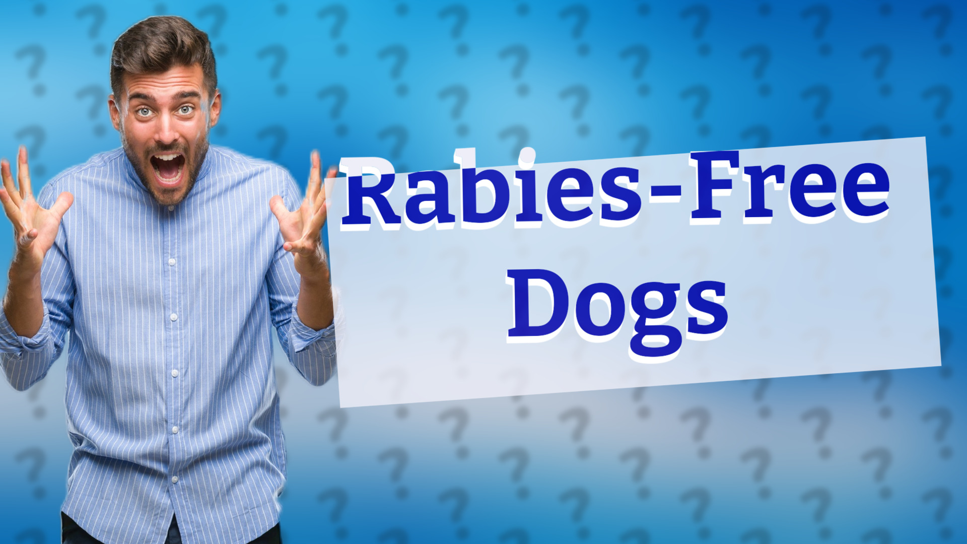 Rabies-Free Dogs
