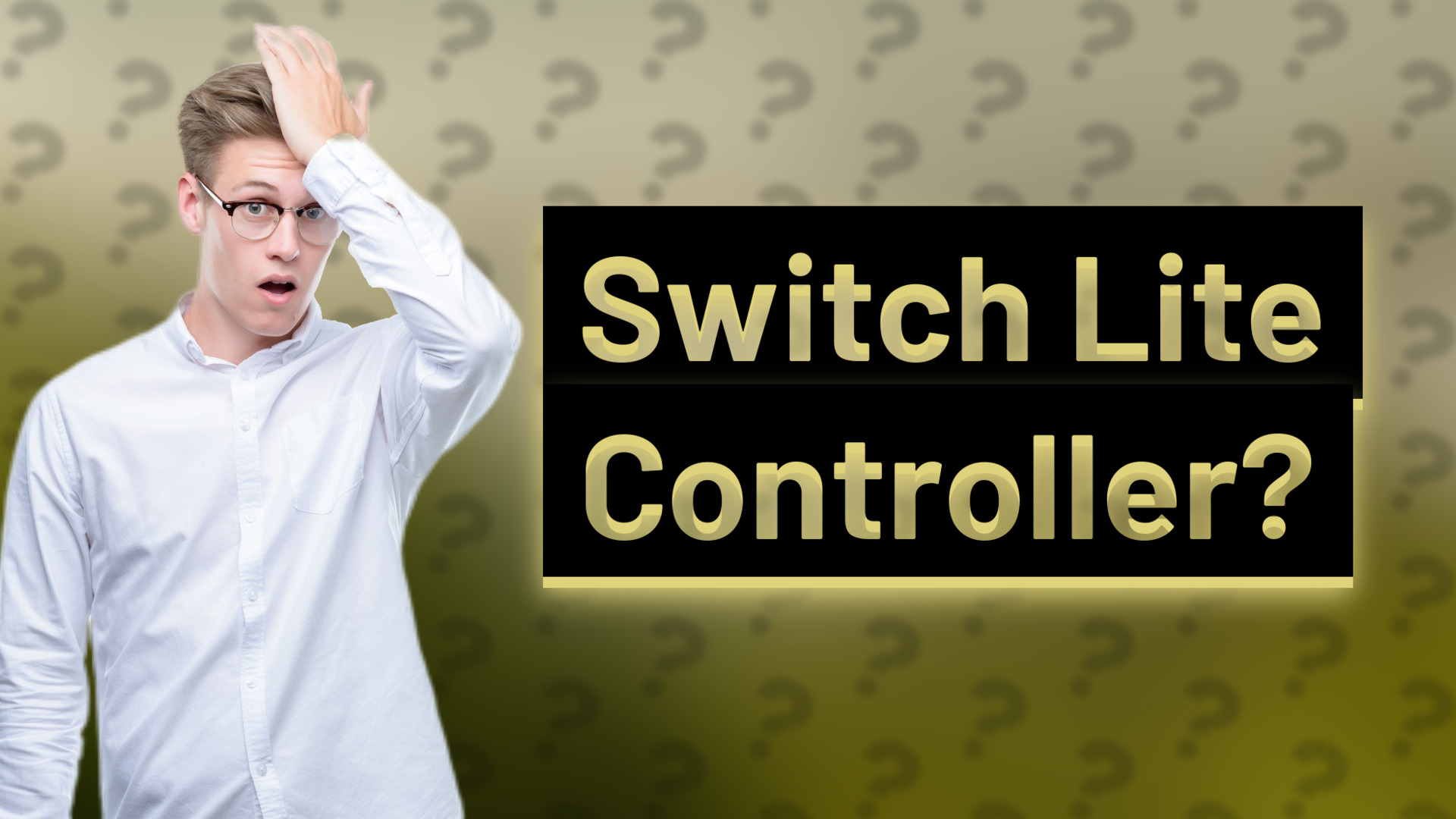 Switch Lite Controller?