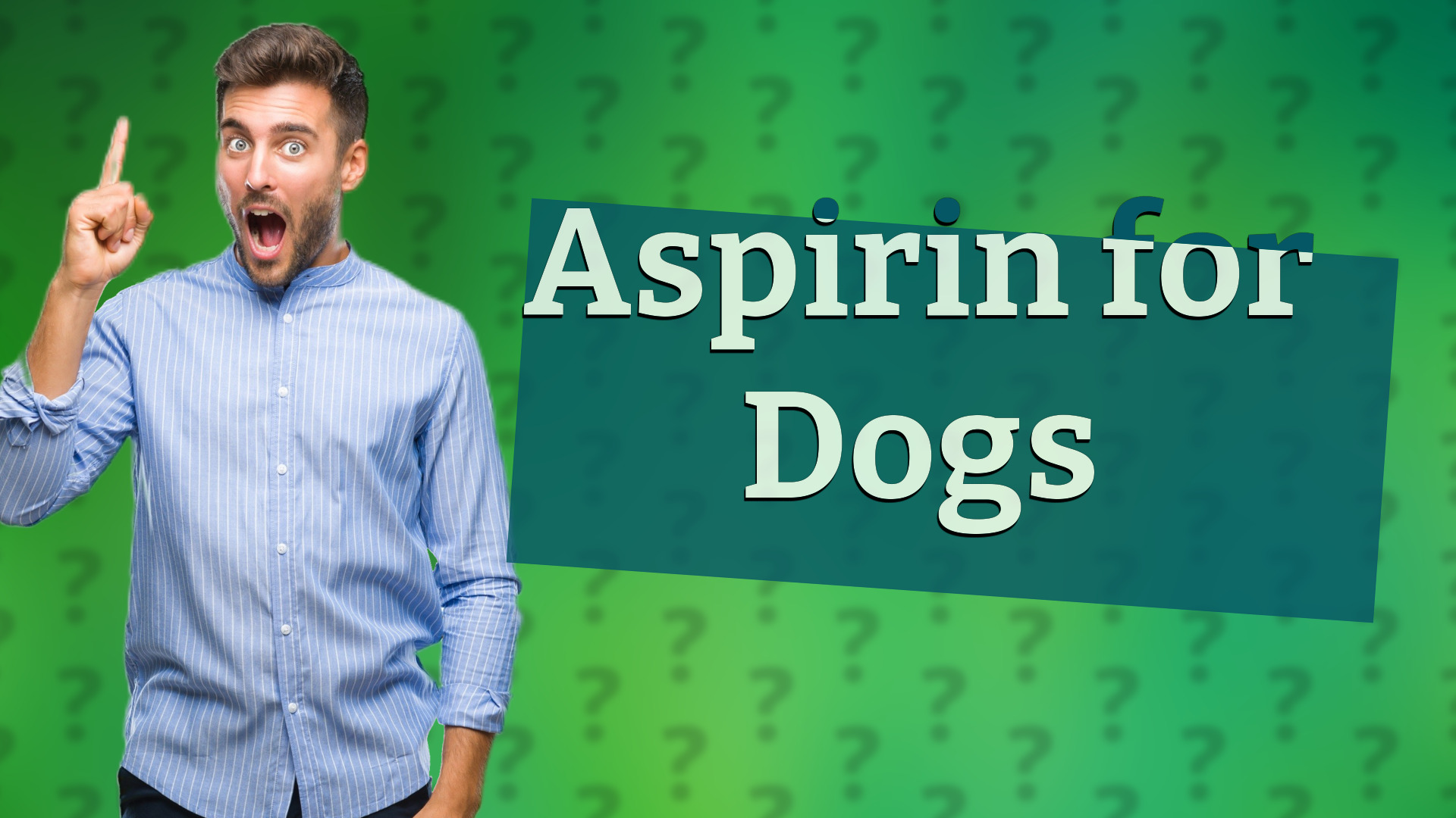 Aspirin for Dogs