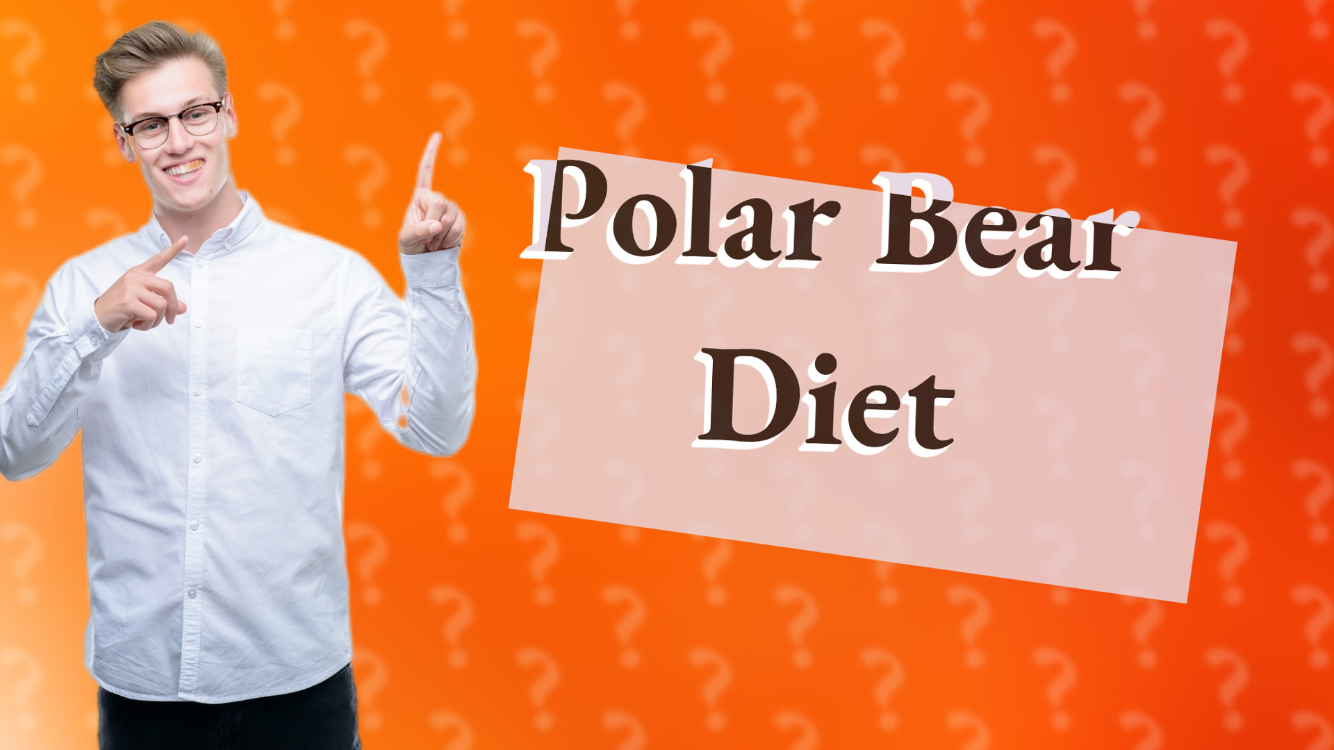 Polar Bear Diet
