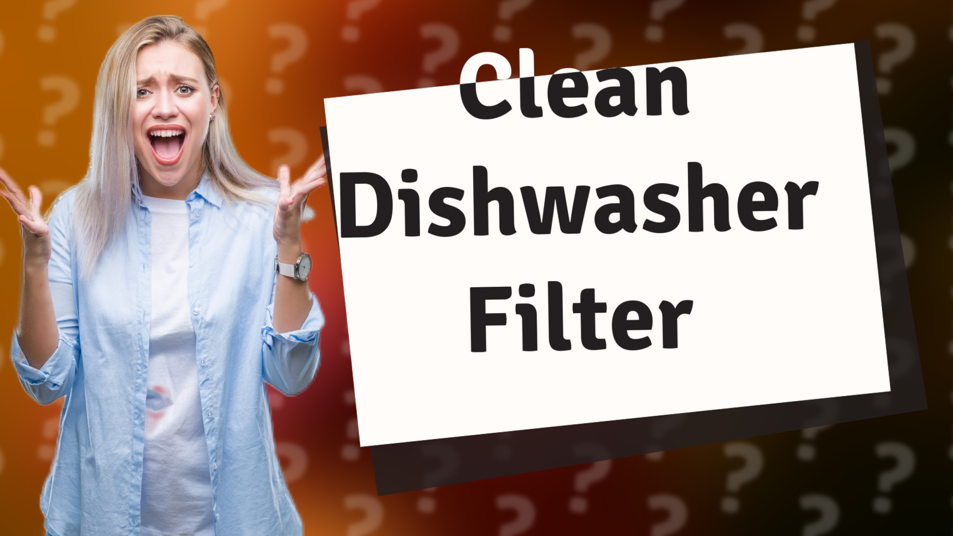 Clean Dishwasher Filter