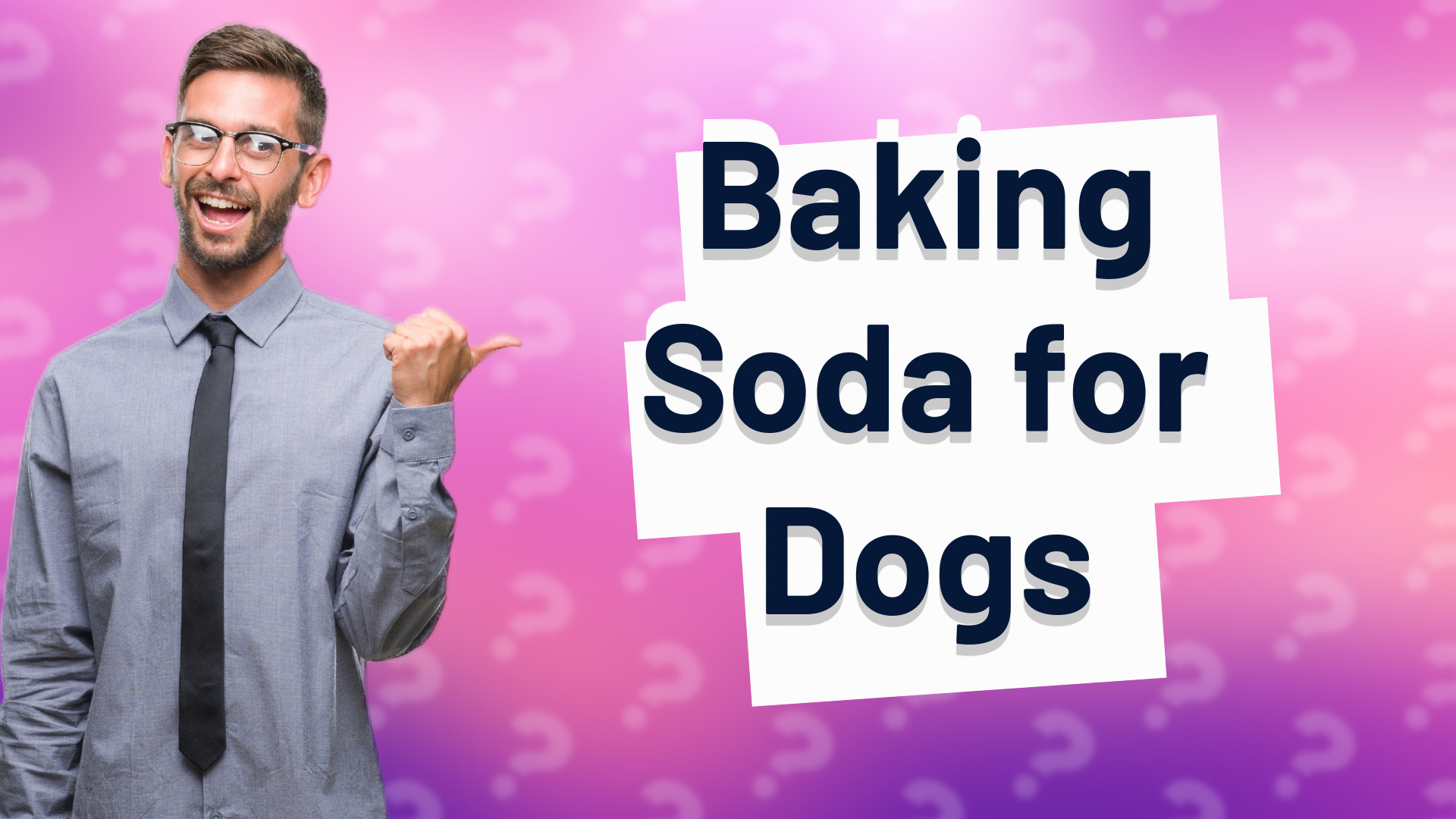Baking Soda for Dogs