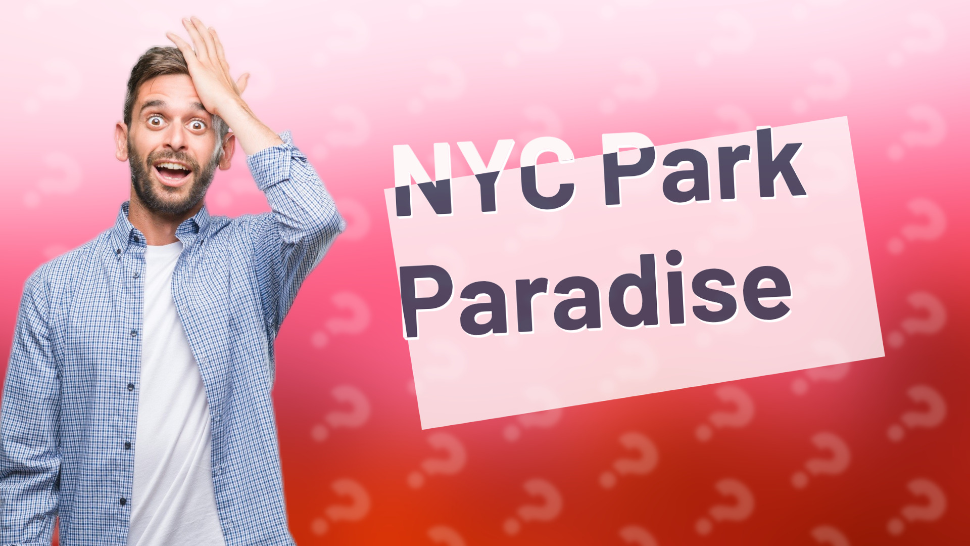 NYC Park Paradise