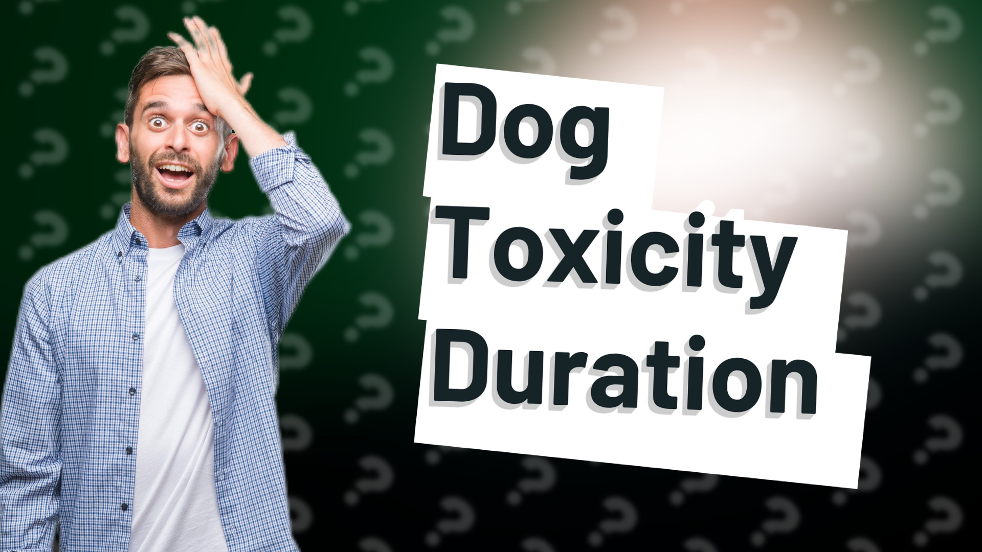 Dog Toxicity Duration