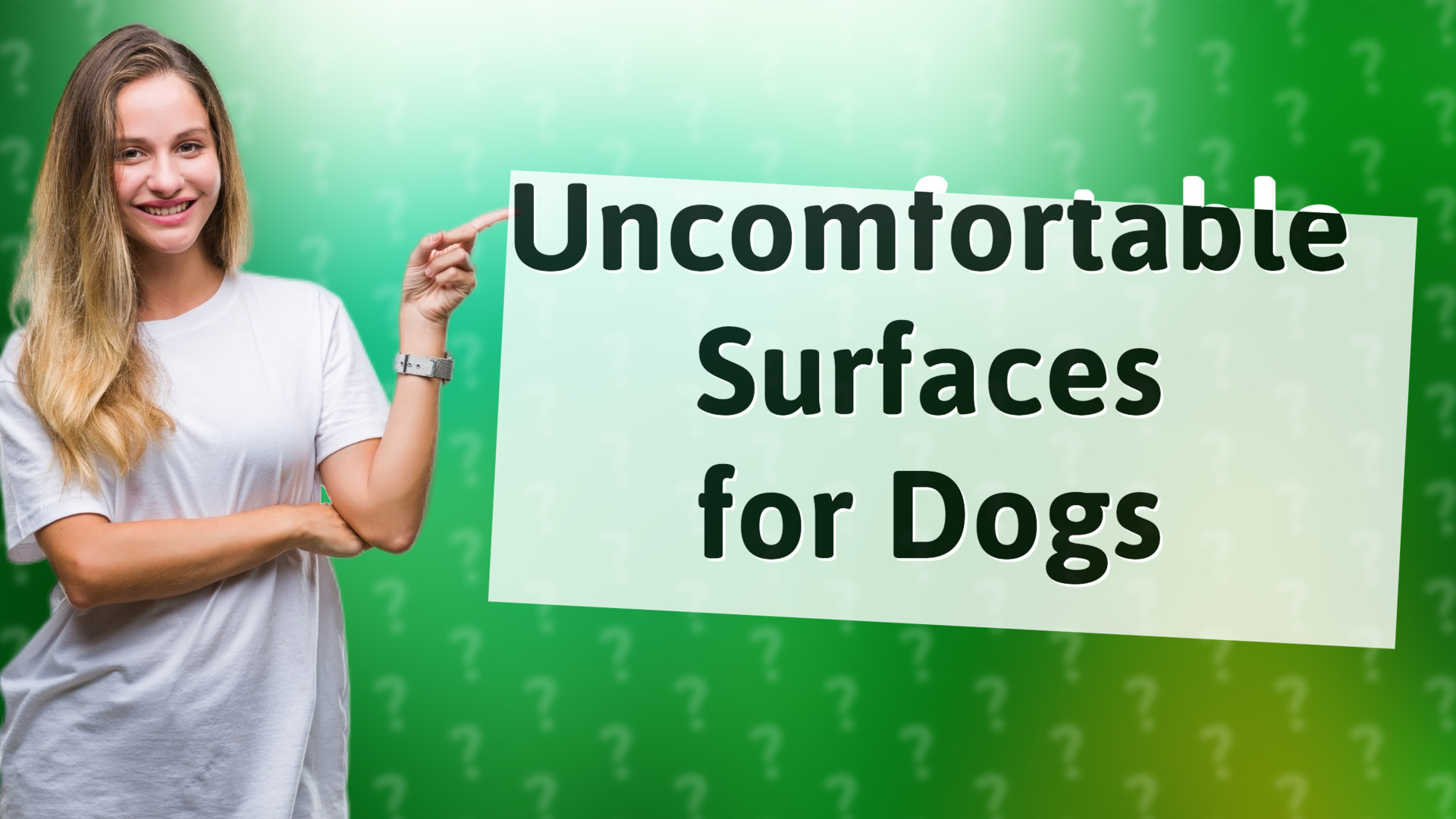 Uncomfortable Surfaces for Dogs