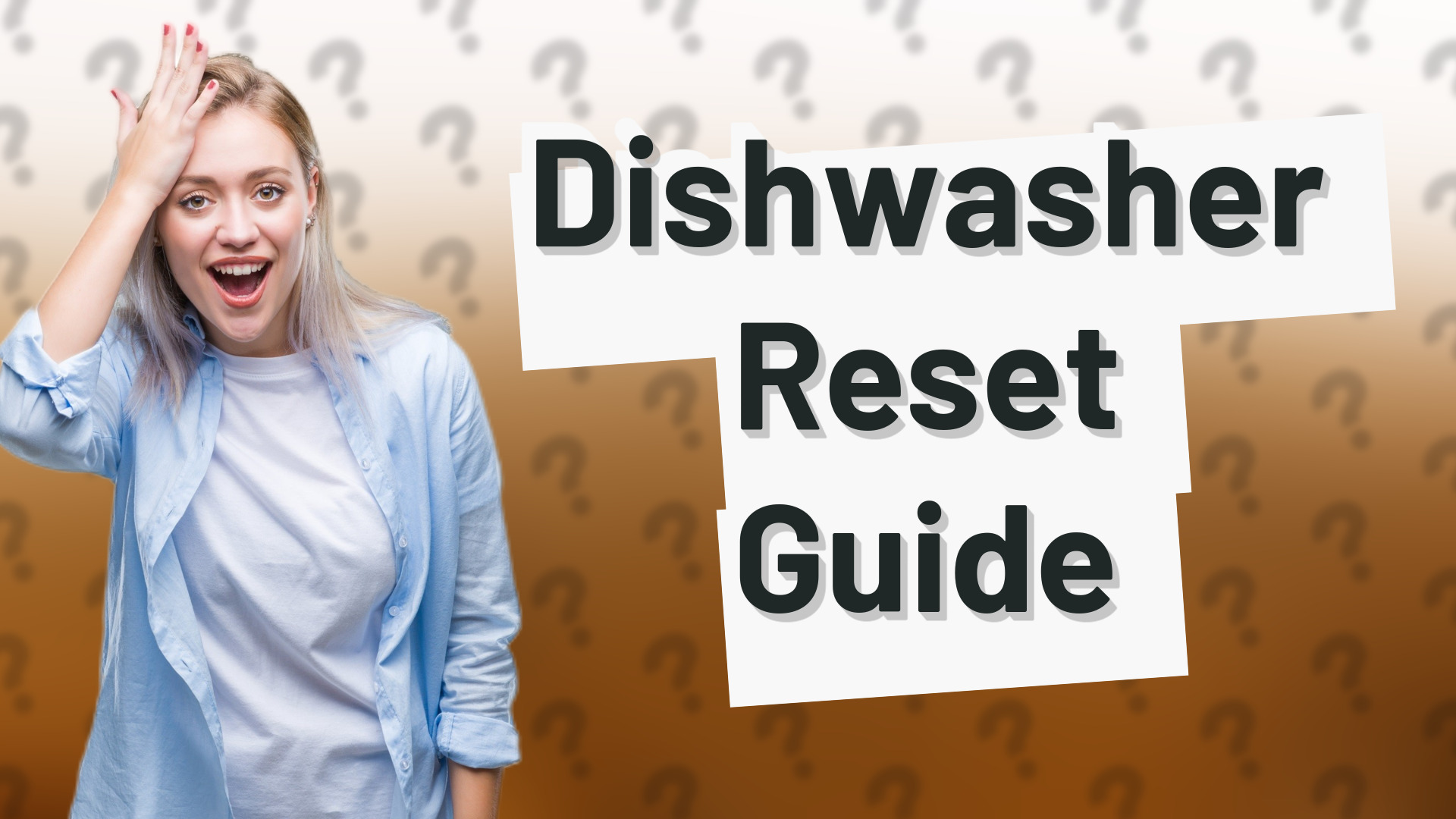Dishwasher Reset Guide