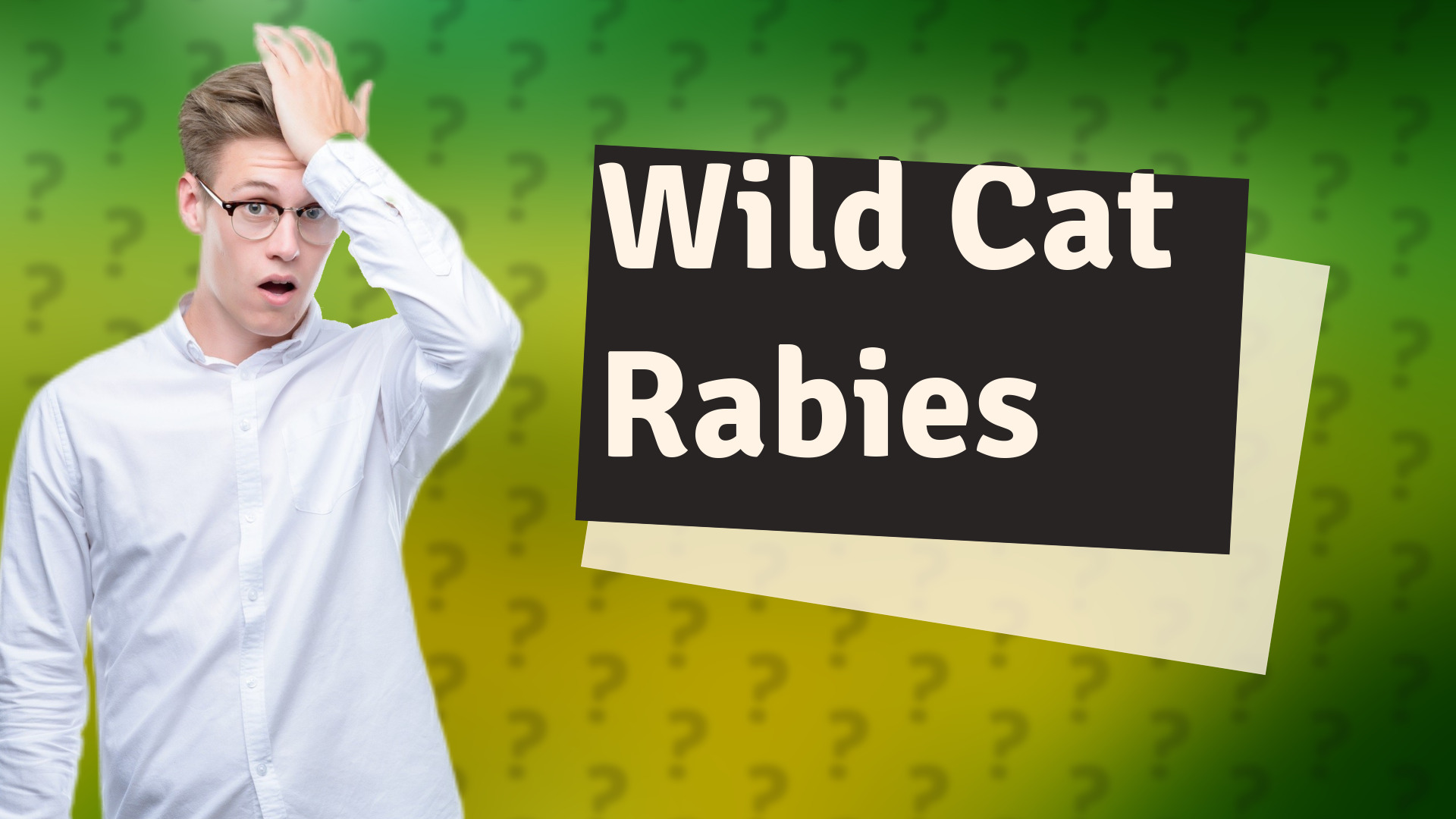 Wild Cat Rabies
