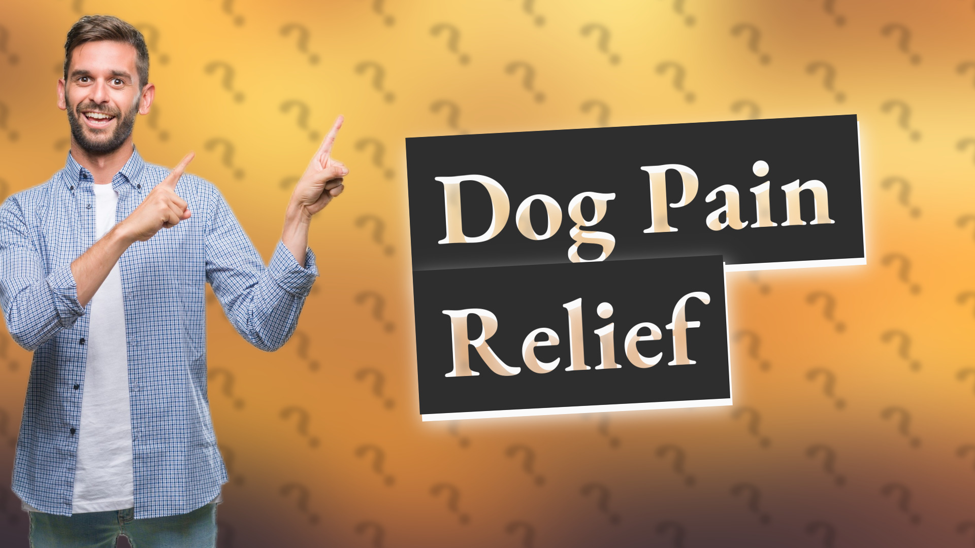 Dog Pain Relief
