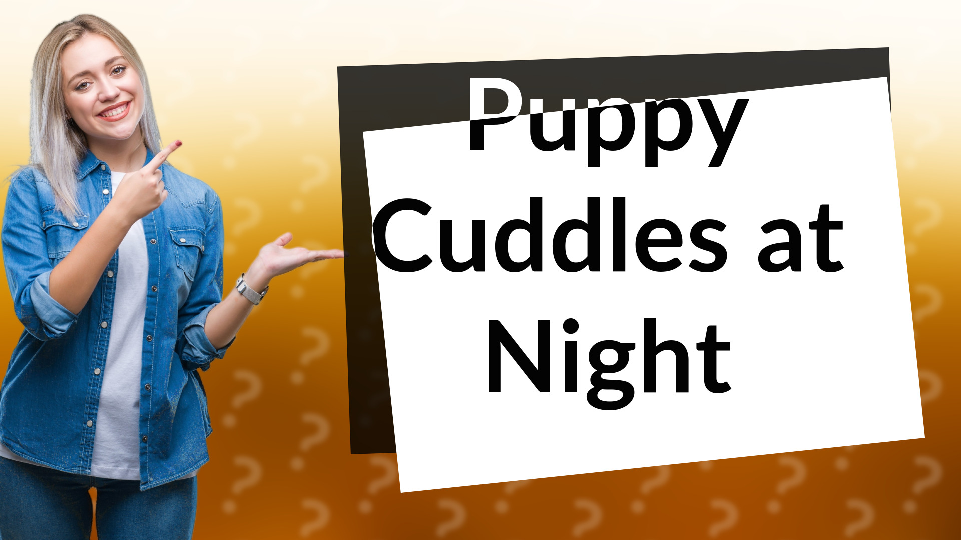 Puppy Cuddles at Night