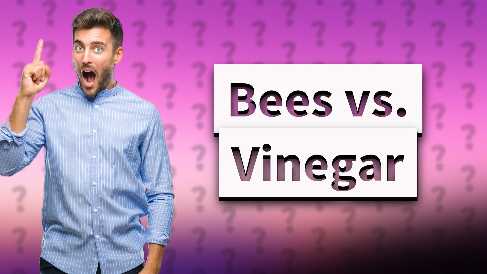 Bees vs. Vinegar