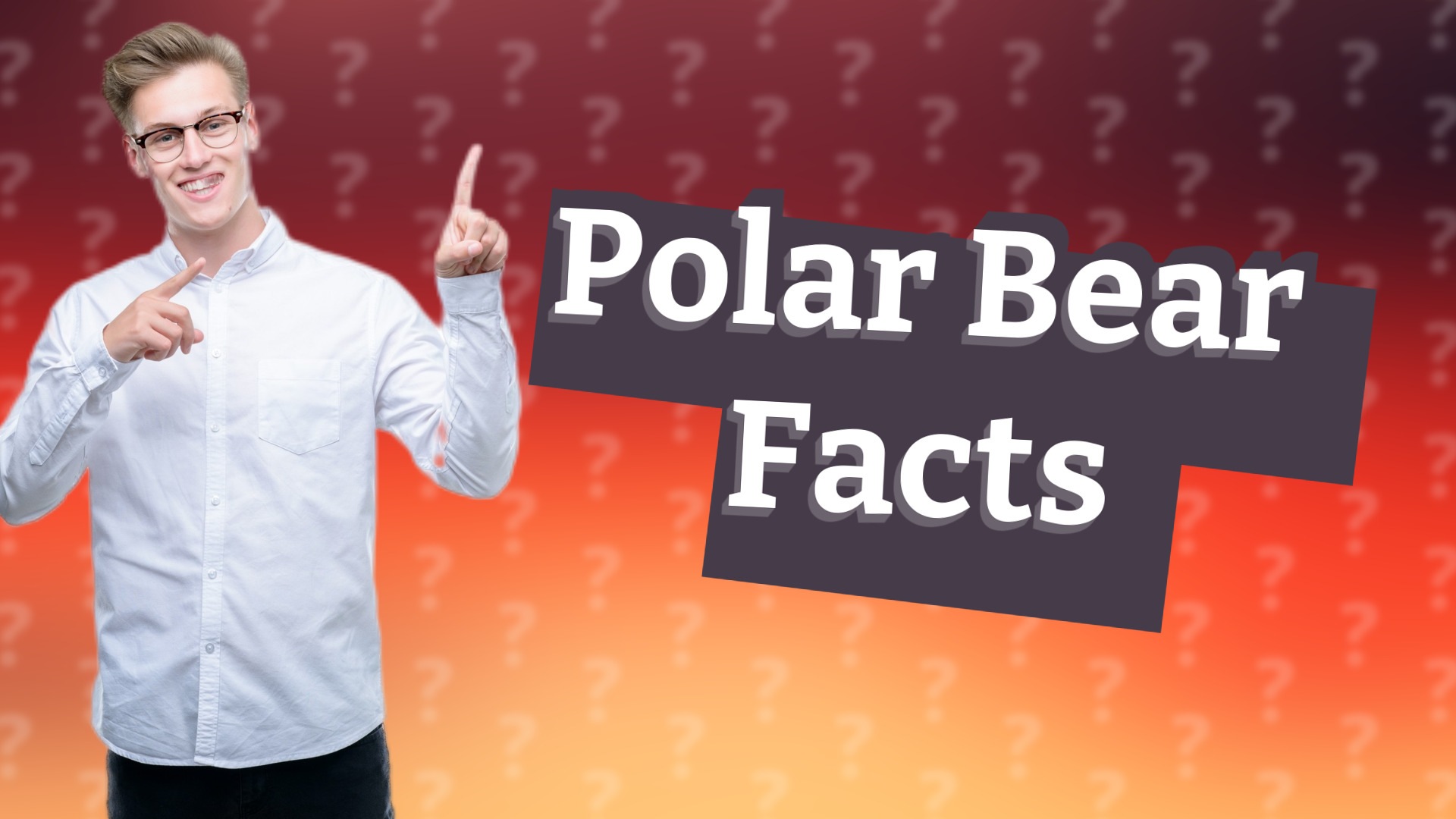 Polar Bear Facts