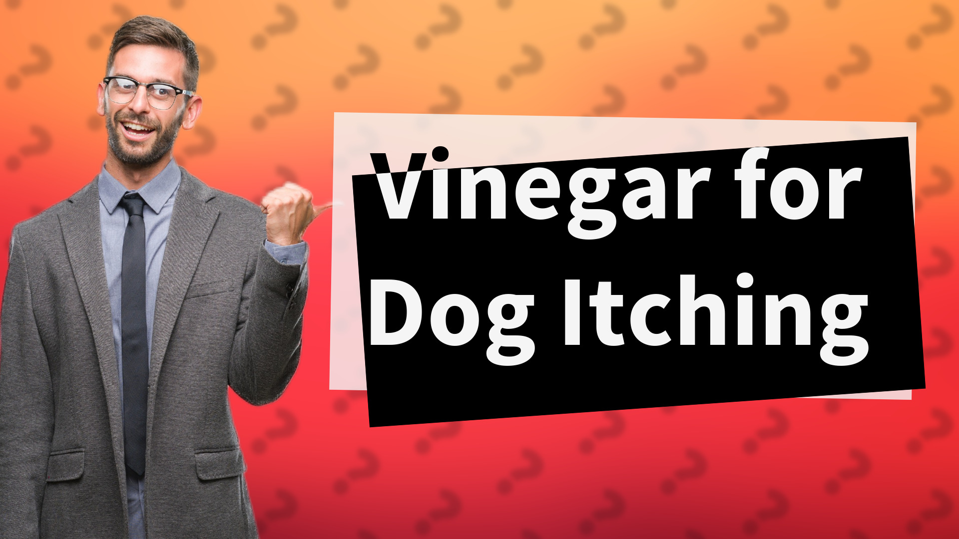 Vinegar for Dog Itching