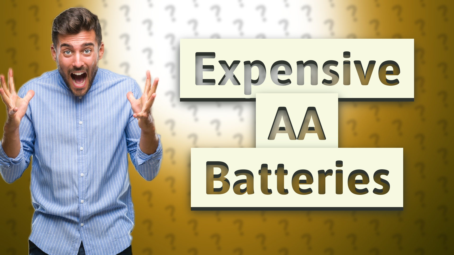 Expensive AA Batteries