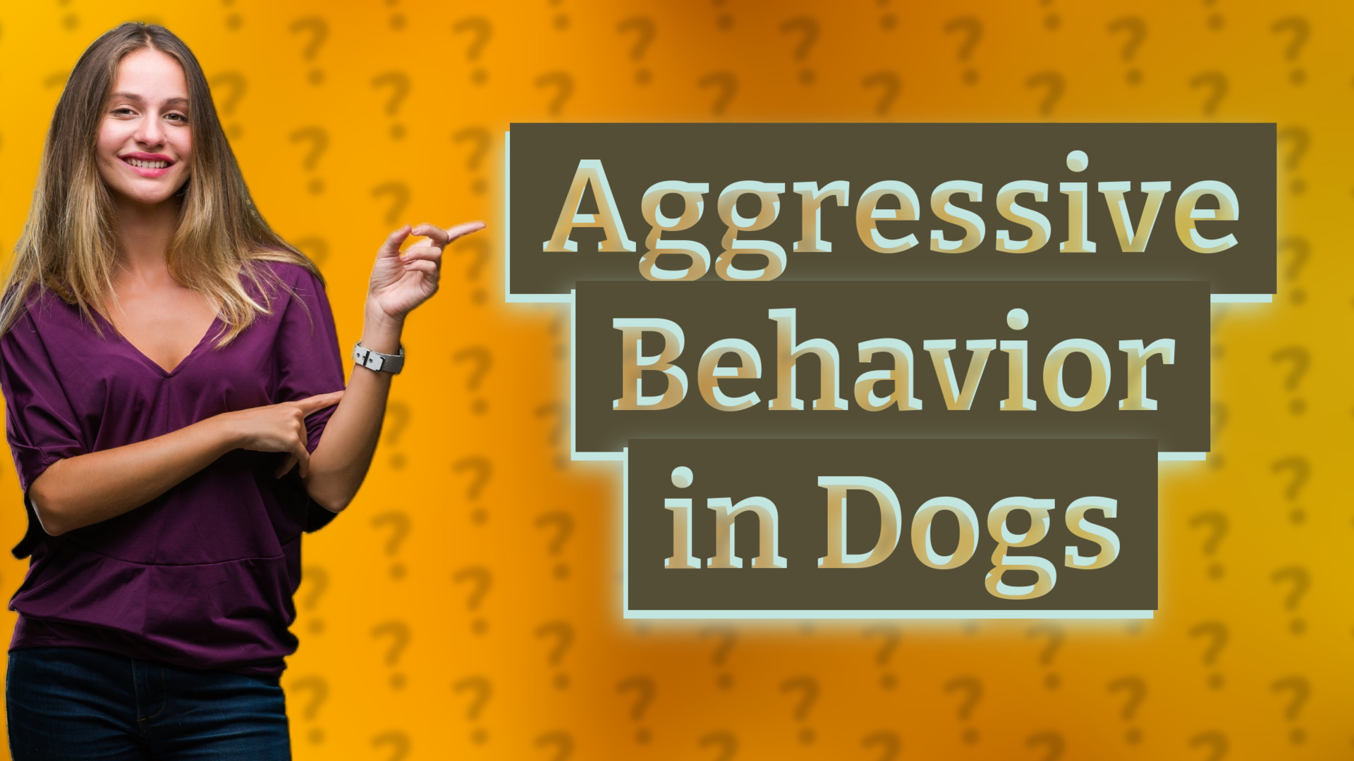 Aggressive Behavior in Dogs