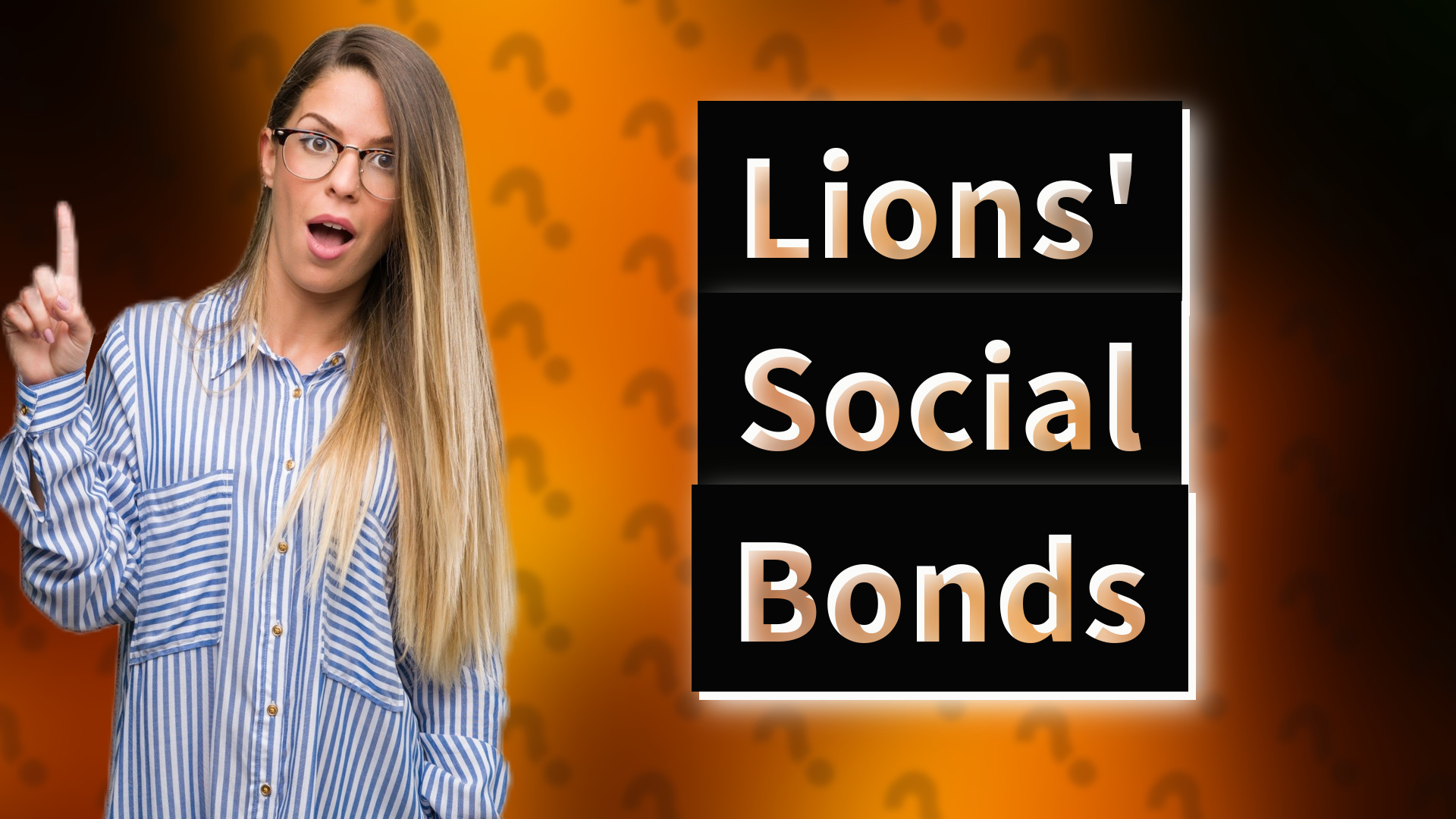 Lions' Social Bonds