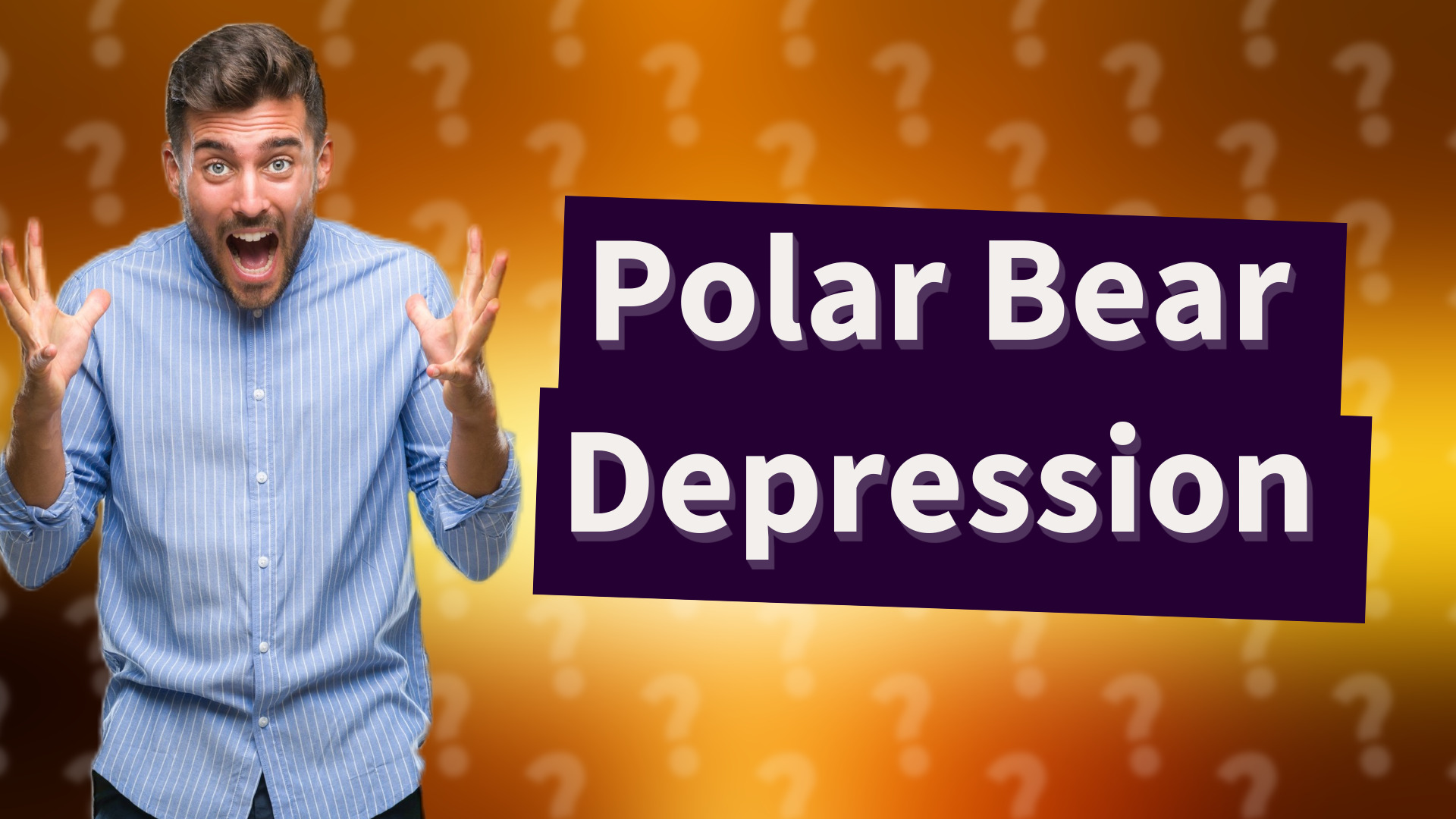 Polar Bear Depression