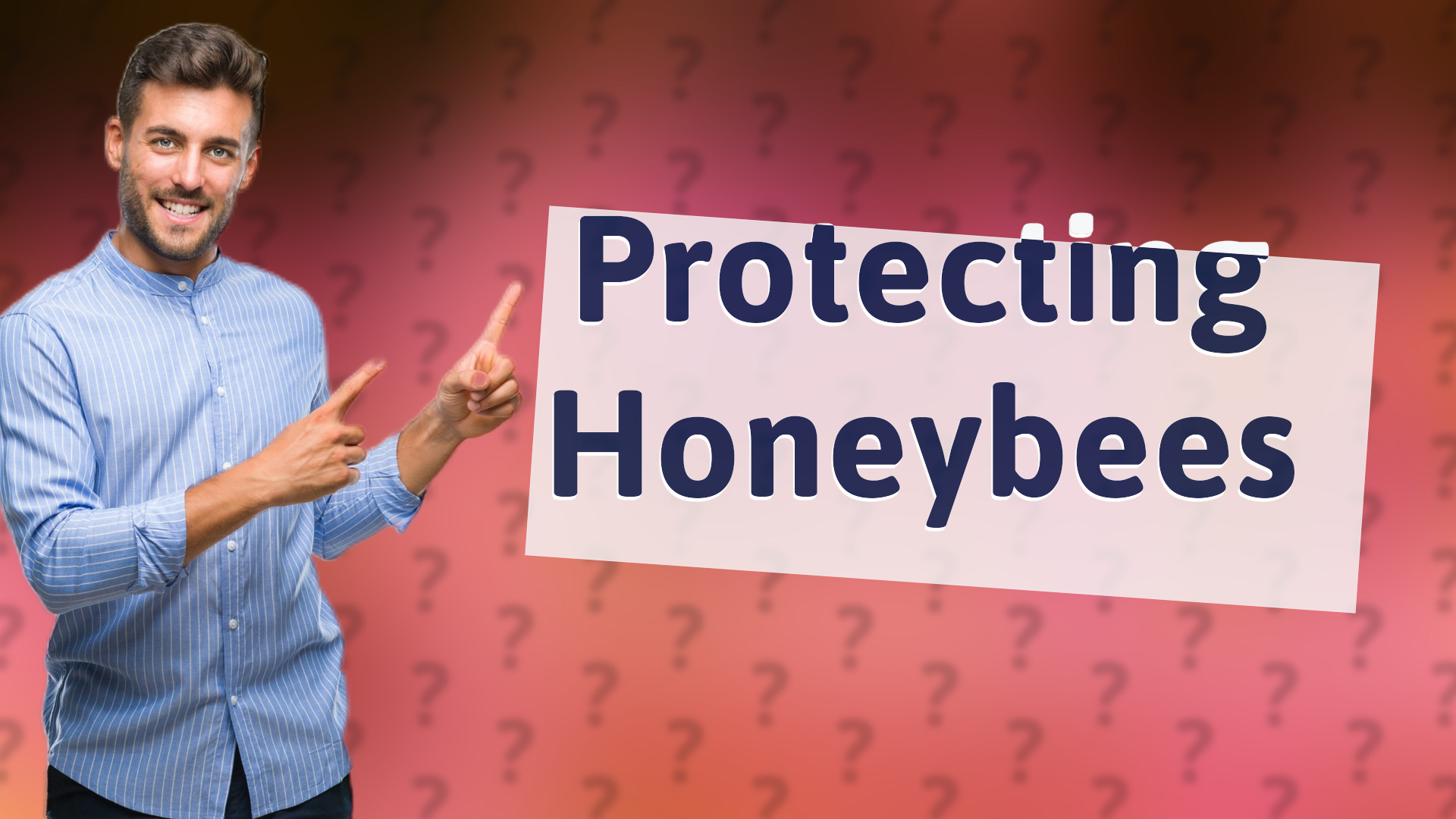 Protecting Honeybees
