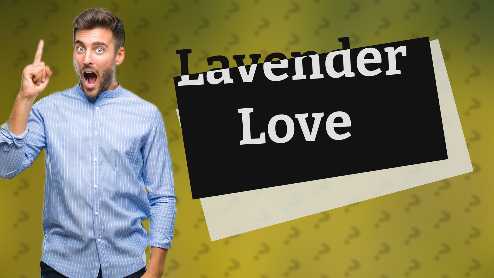 Lavender Love