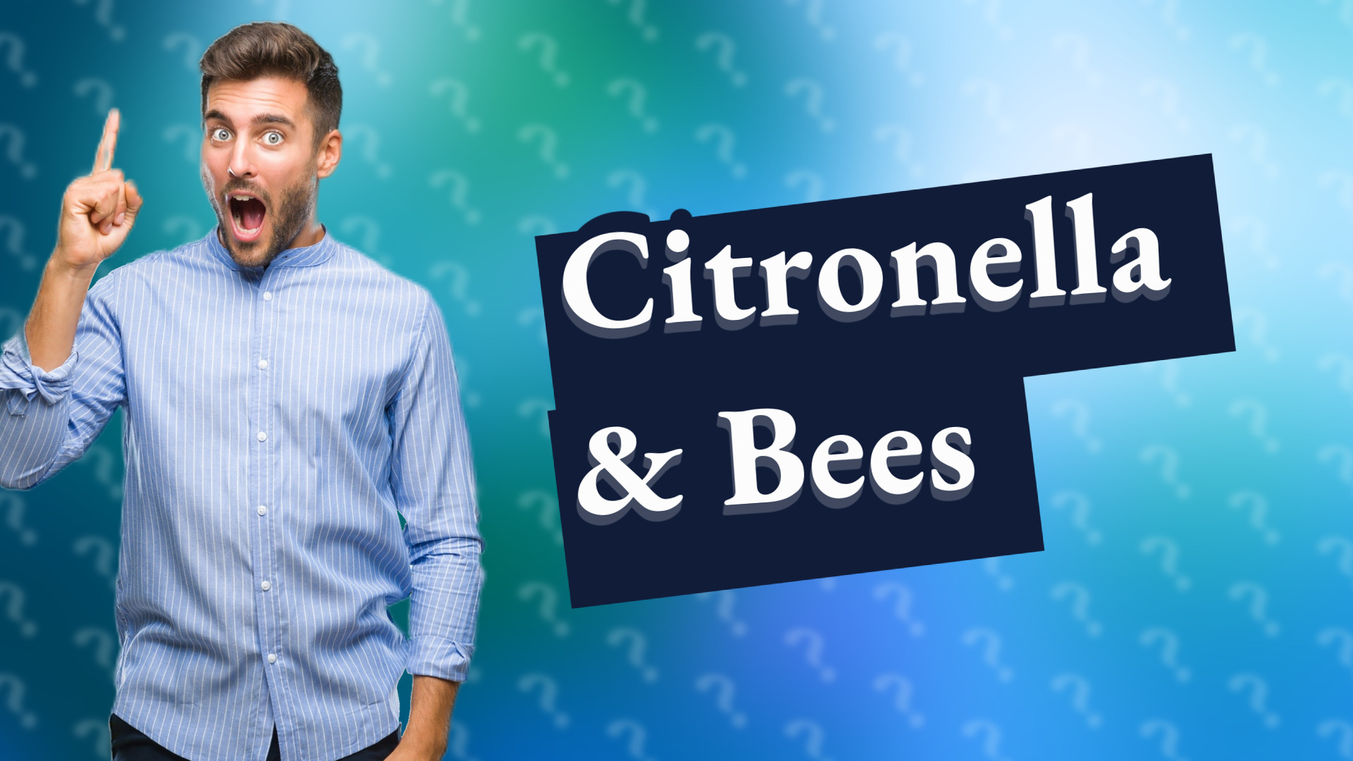 Citronella & Bees