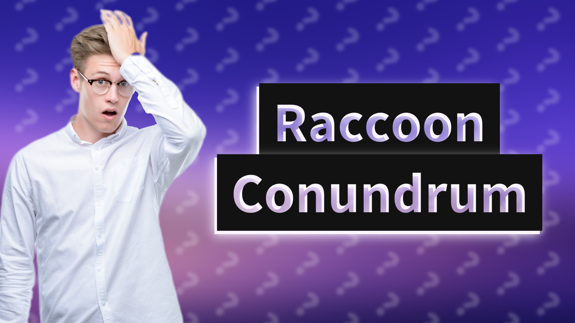 Raccoon Conundrum