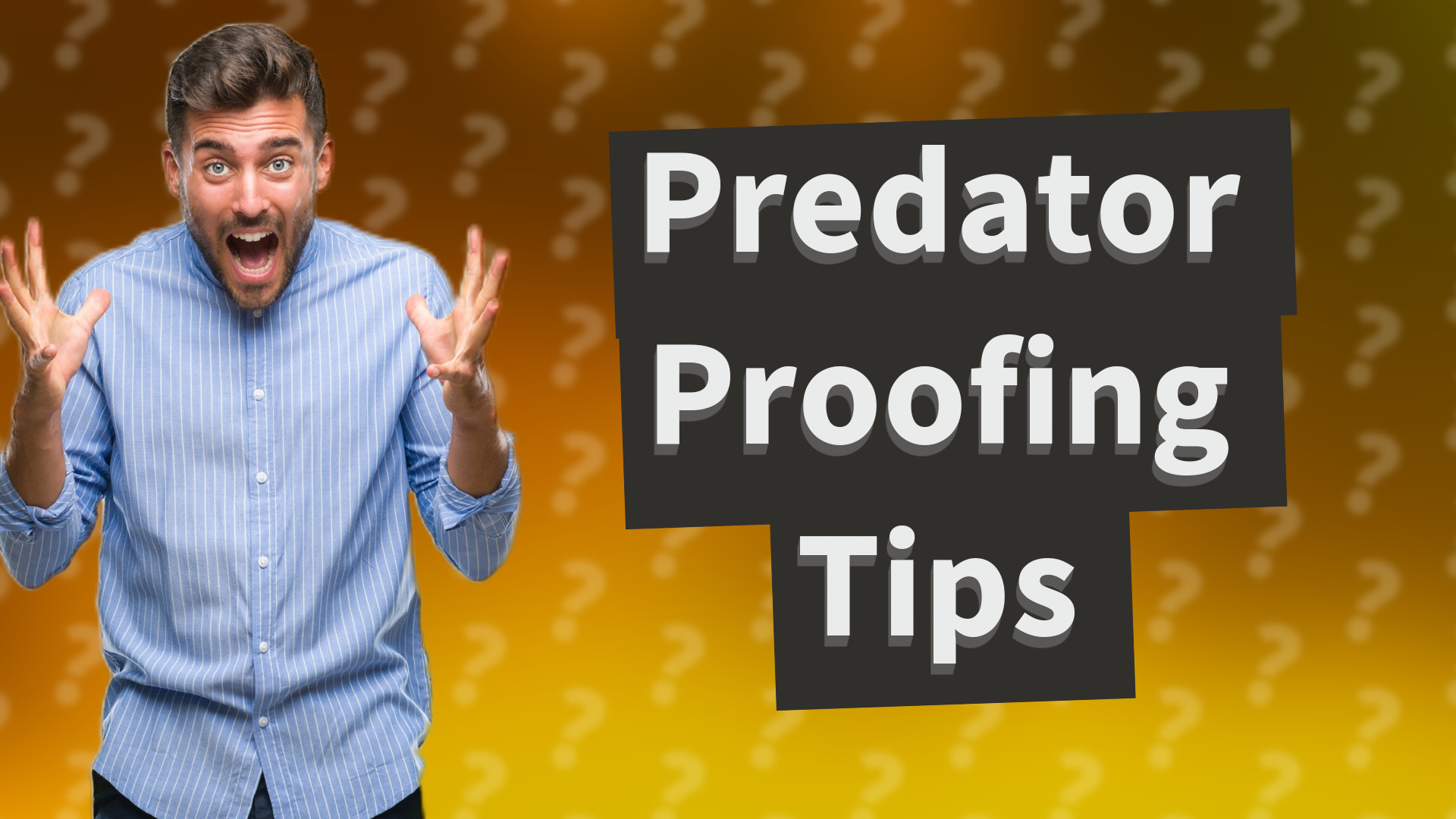 Predator Proofing Tips