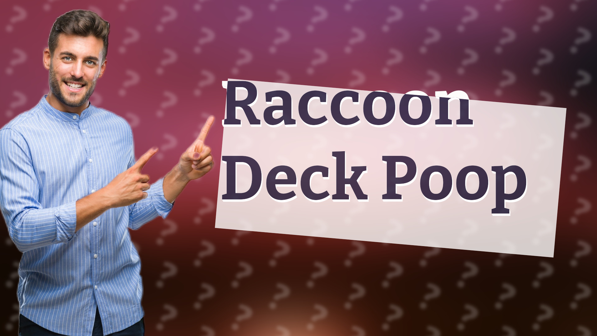 Raccoon Deck Poop
